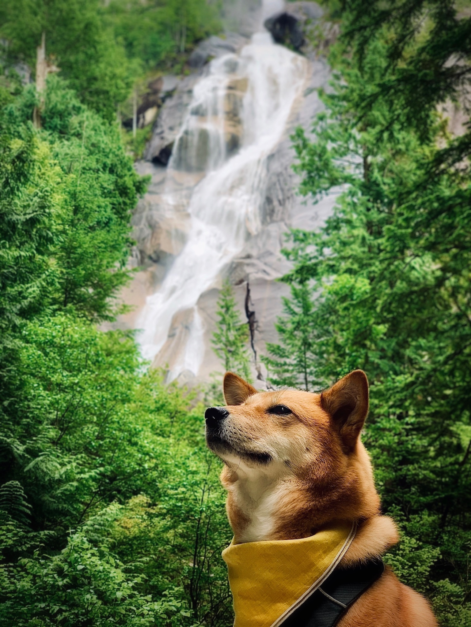 Squamish, Shannon Falls & Brandywine Falls