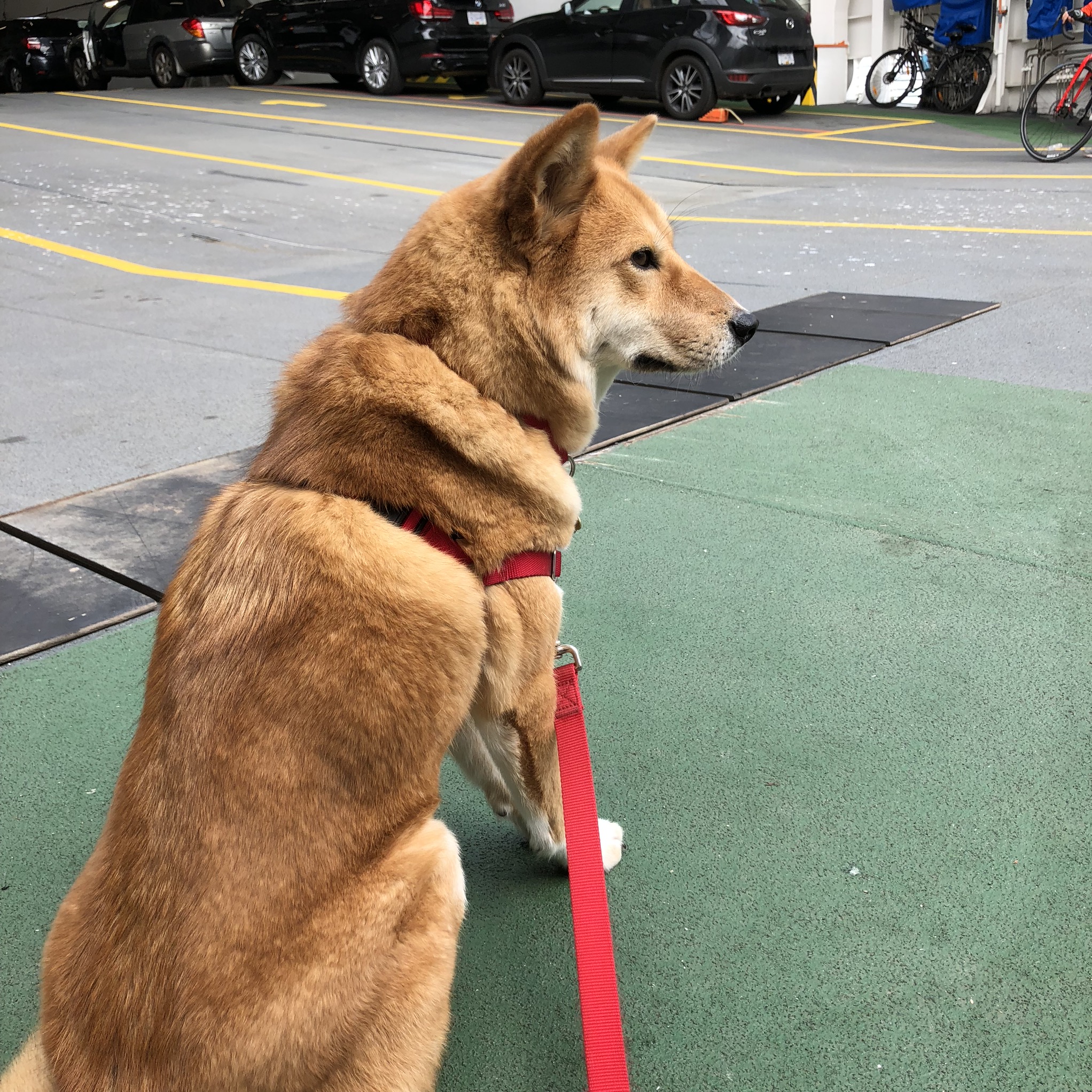 Going on a Trip, More Grooming and the highest of fives