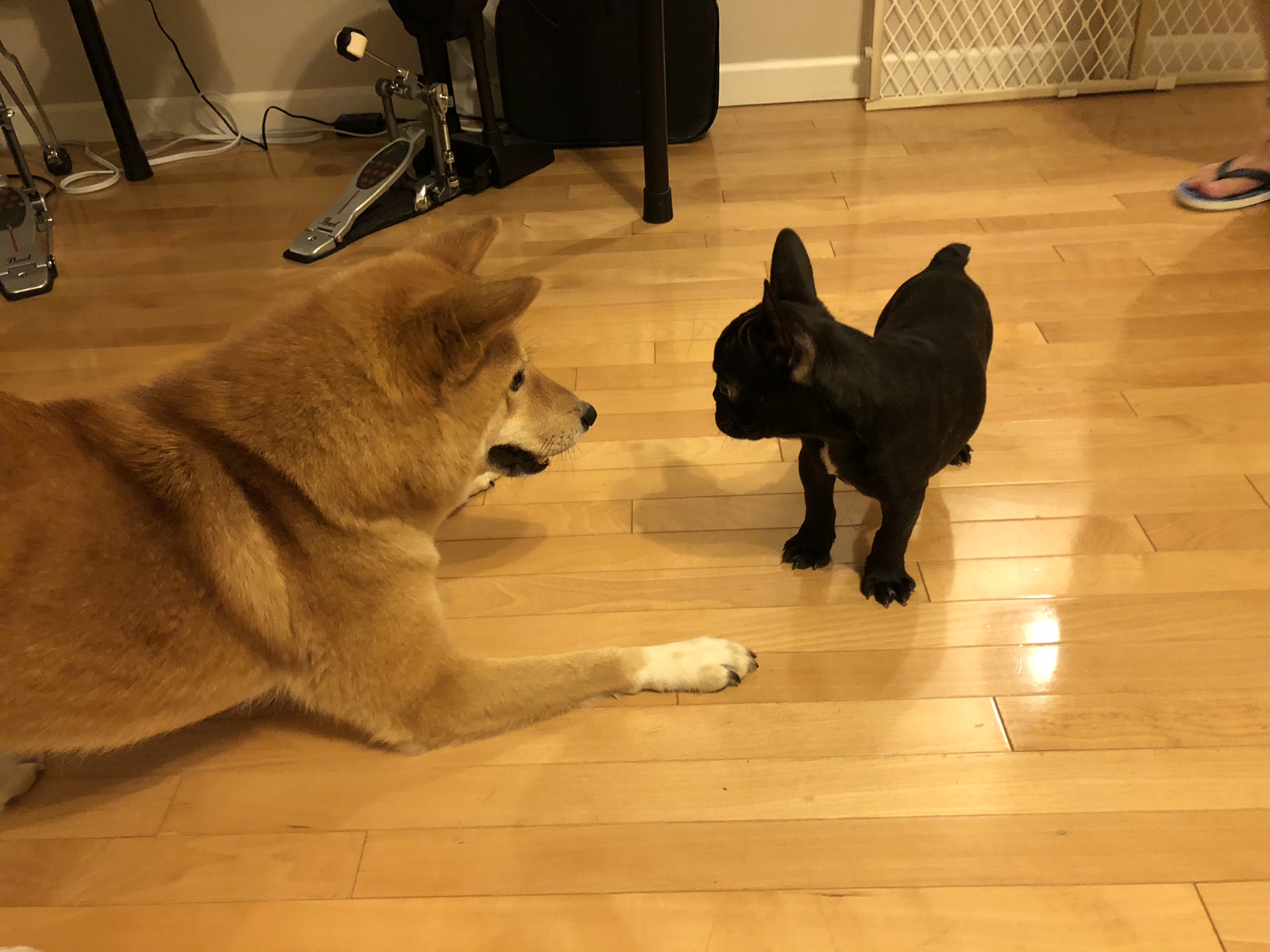 Leaving Markus Alone, New Cousin Archie and New Year's Resolution