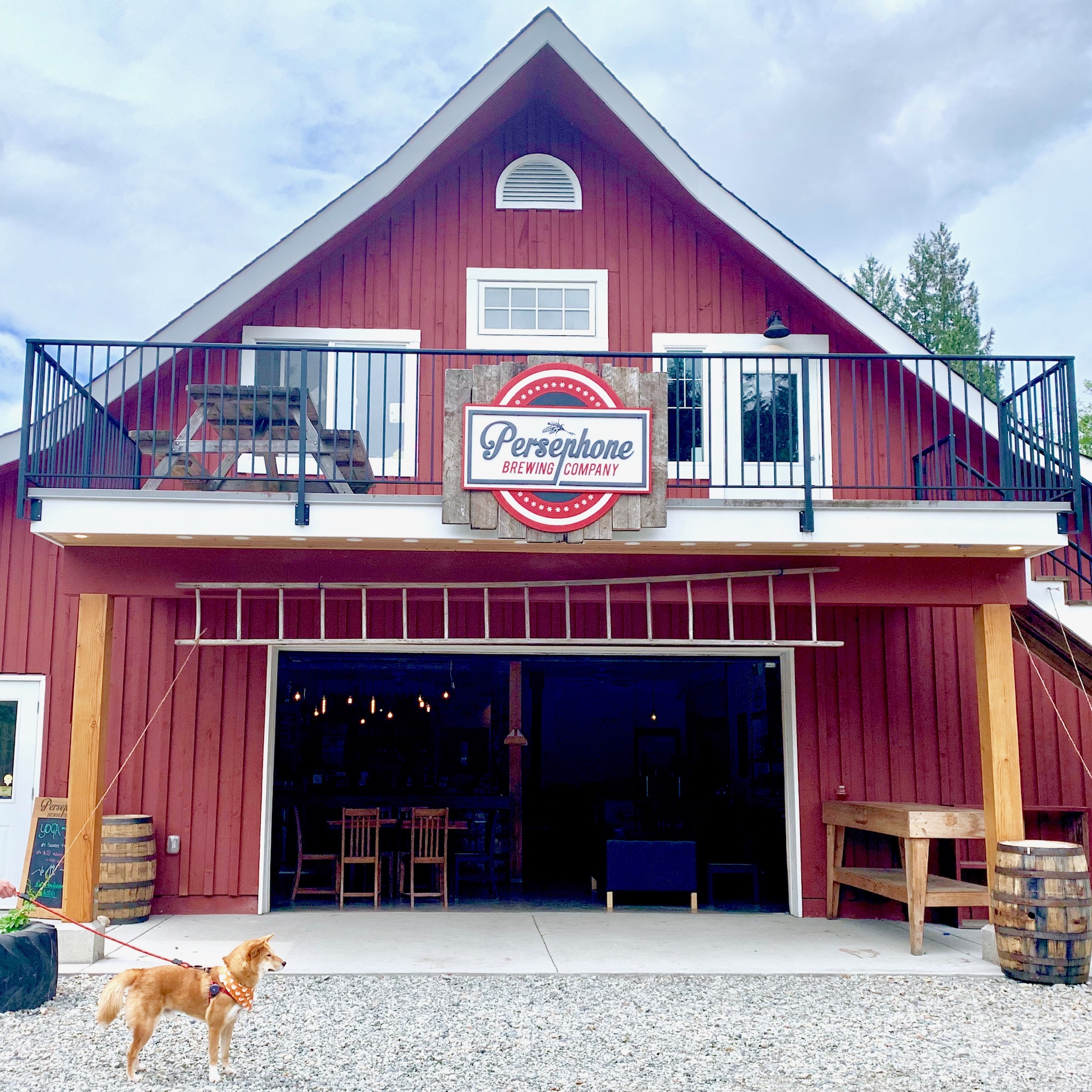 Markus stopping for a drink at Persephone Brewing Company
