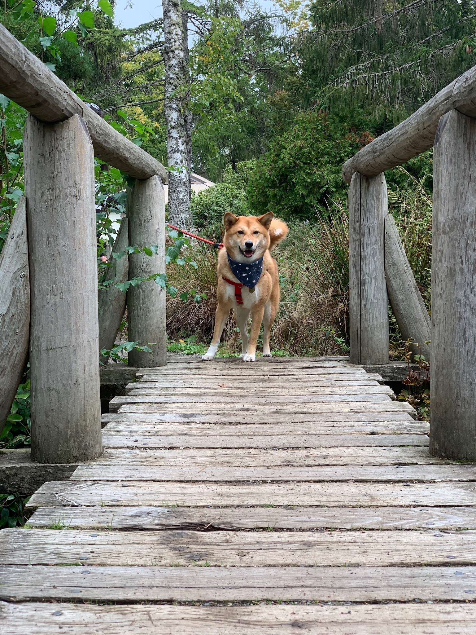 Western Washington Islands (from Issaquah)
