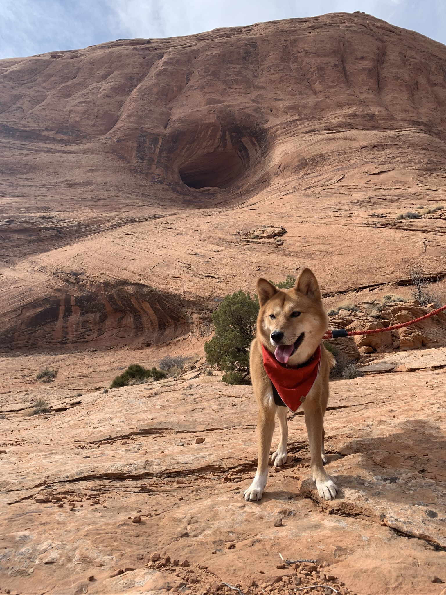 Markus appreciating some of the different rock formations on the Corona Arch & Bowtie Arch Trail at Bootlegger Canyon