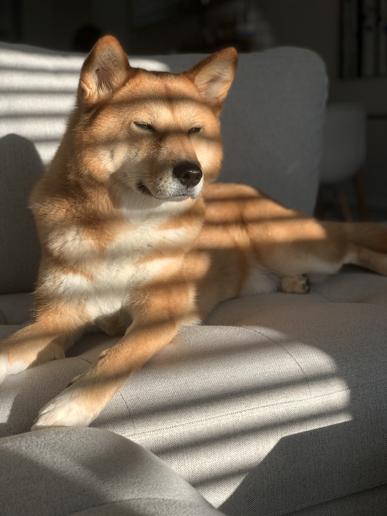 The Roadtrip and the Coronavirus