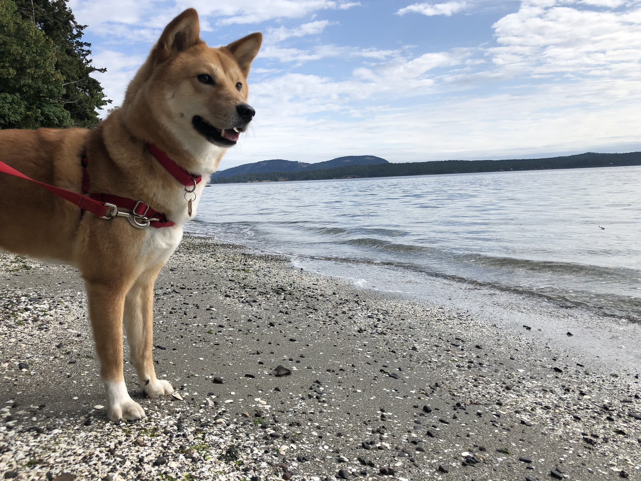 Markus standing on the beach at the end of the hike on  Salt Spring Island, British Columbia