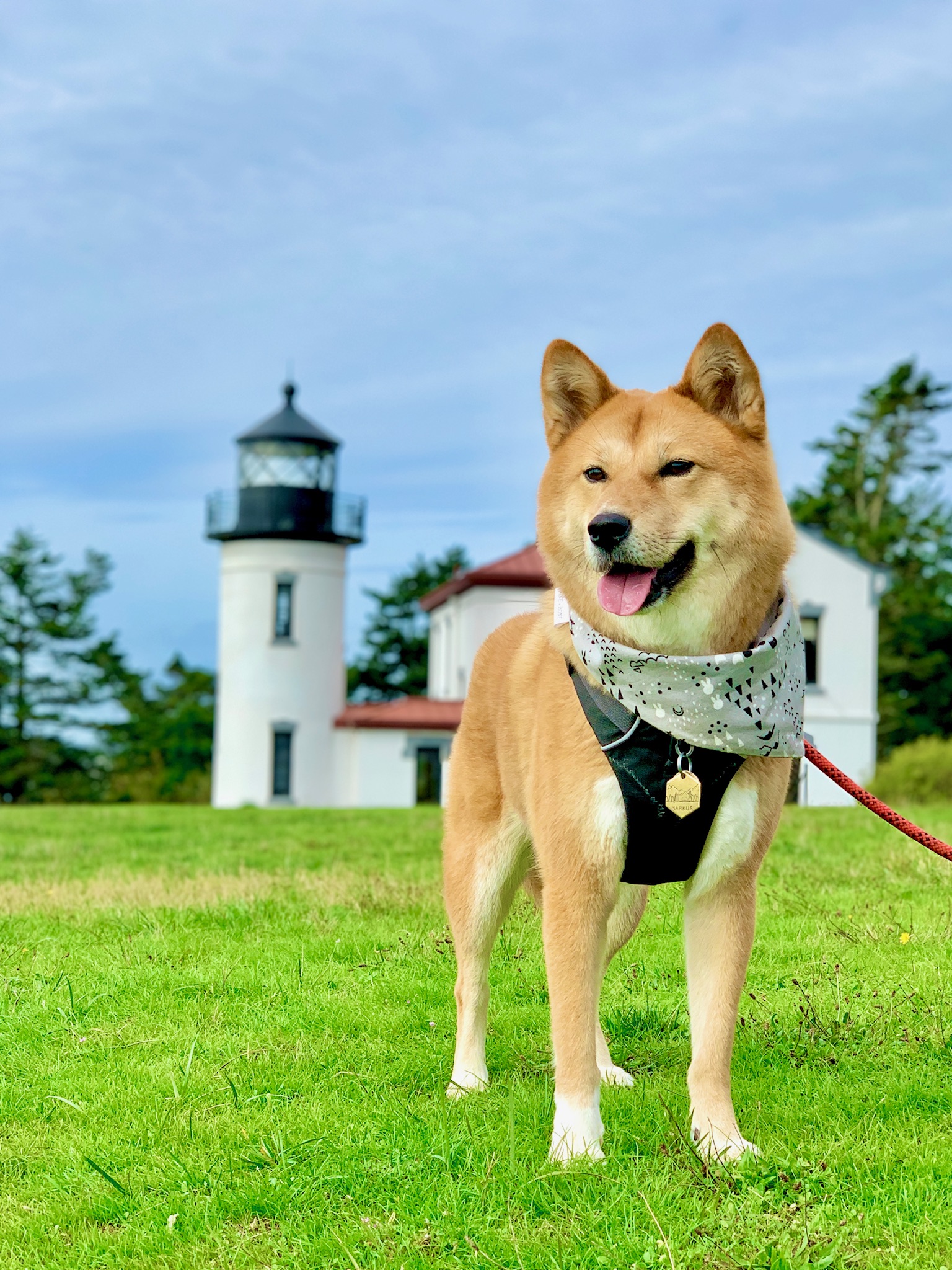 Product Review: RUFFWEAR Front Range Harness