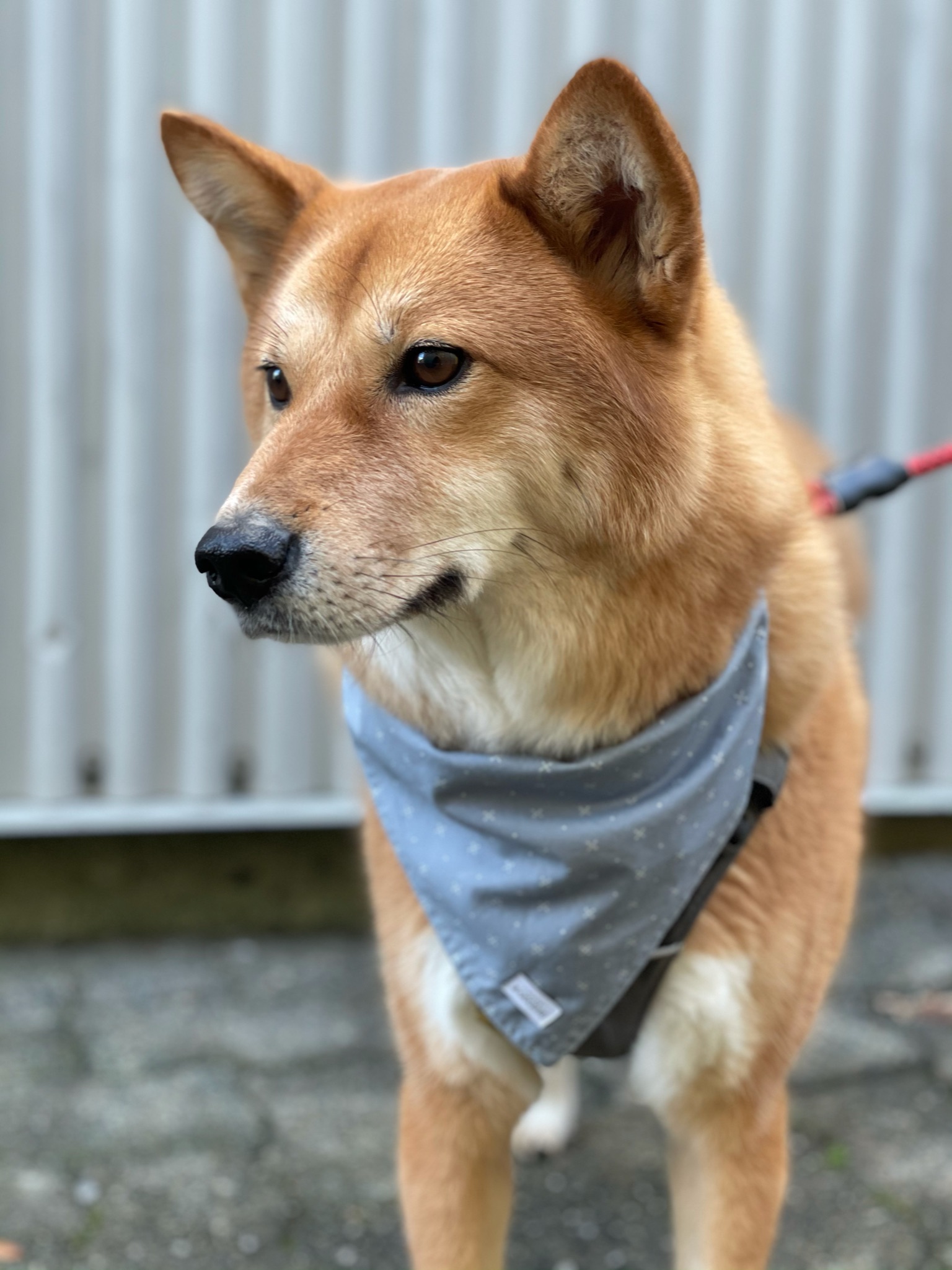 Markus making a stop next to some metal panels along a corridor