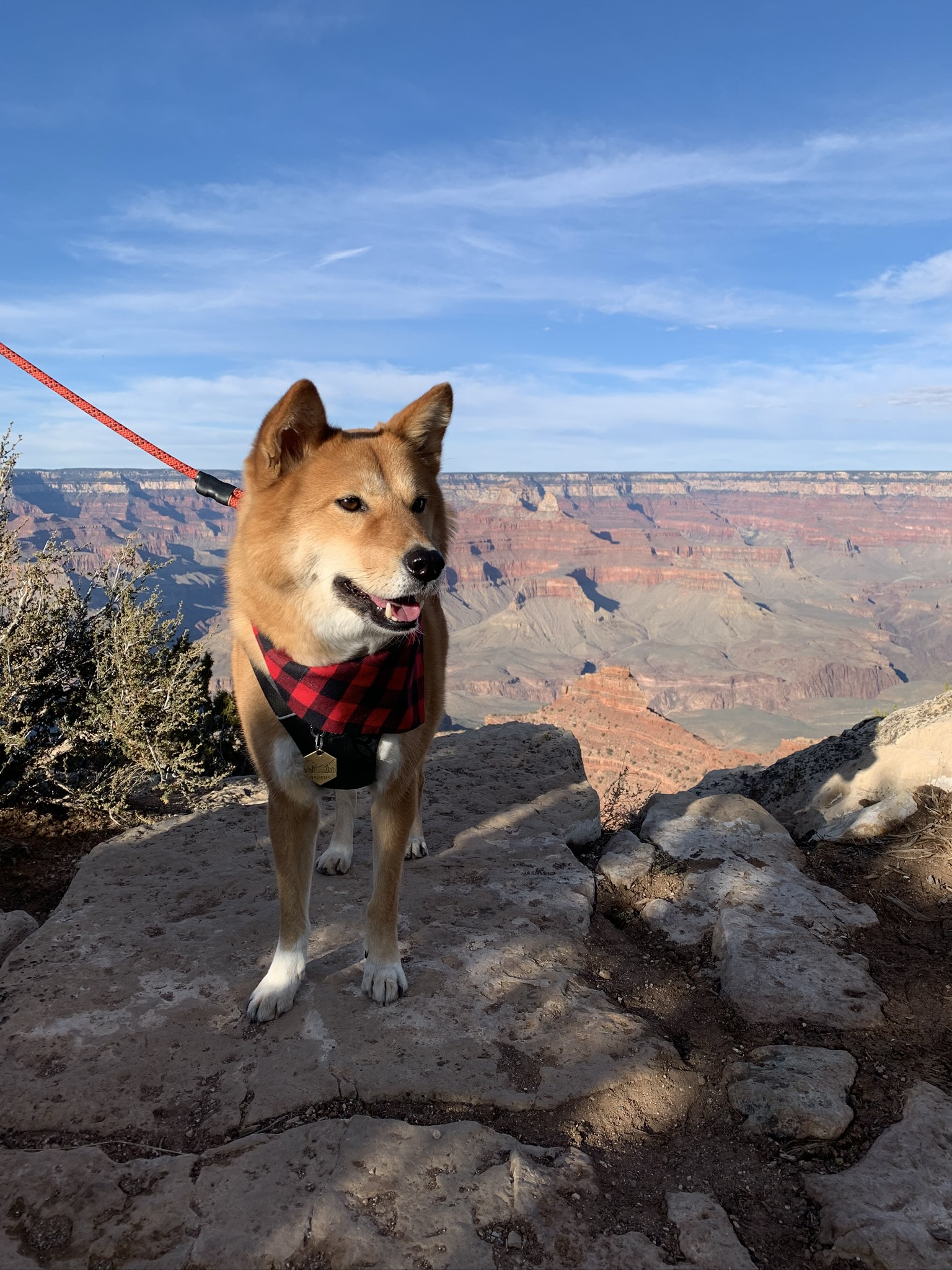 Markus looking at the grandness of the Grand Canyon and realizing how small he is