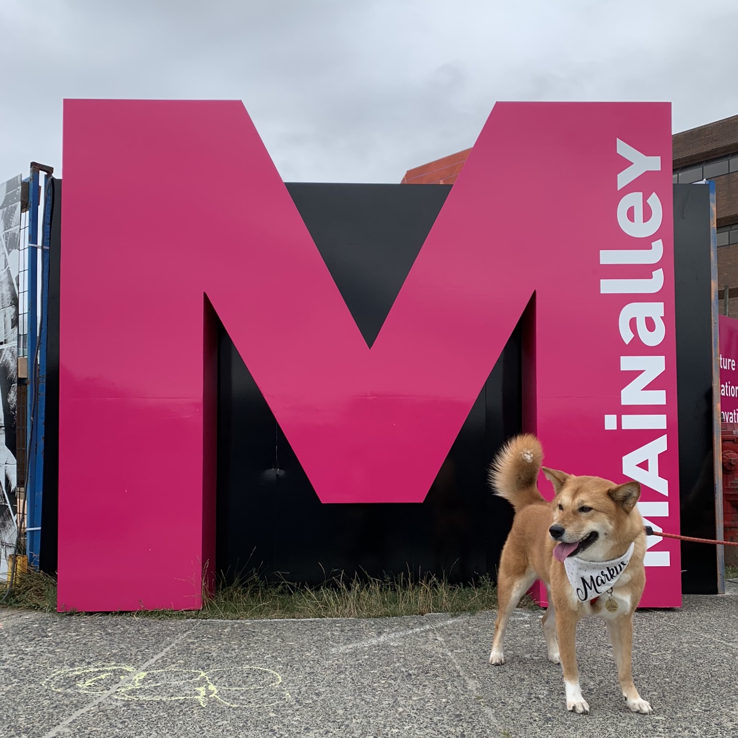 The Vancouver Mural Festival, the Good Samaritan and Ambleside Beach