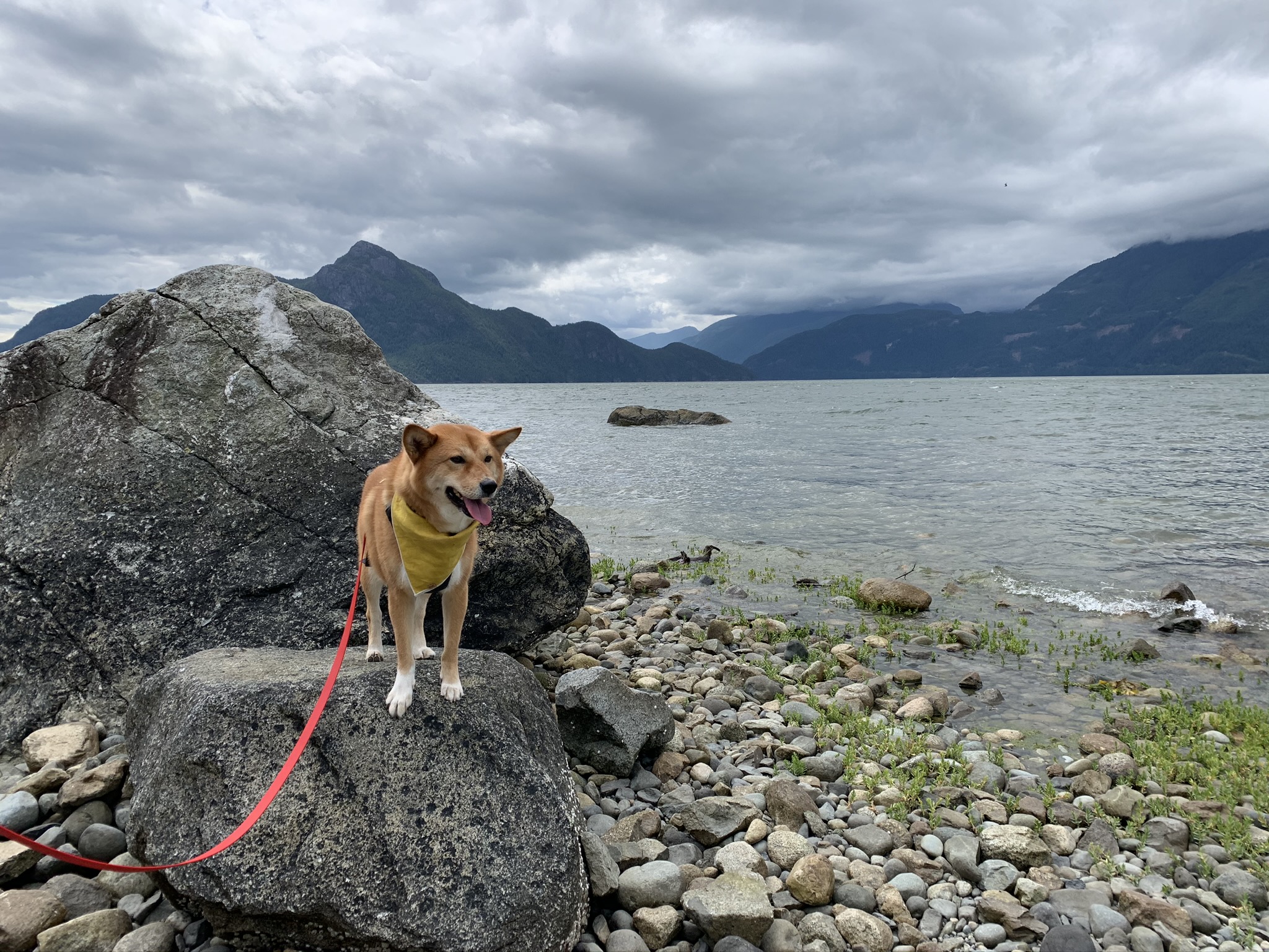 Markus checking out the view of Howe Sound at Porteau Cove