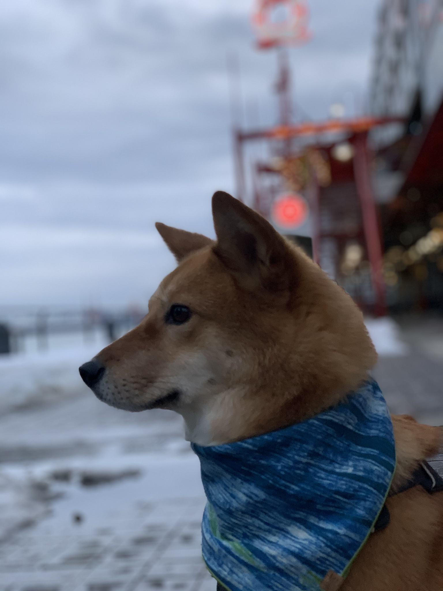Markus standing the iconic lit up Q at Lonsdale Quay, North Vancouver