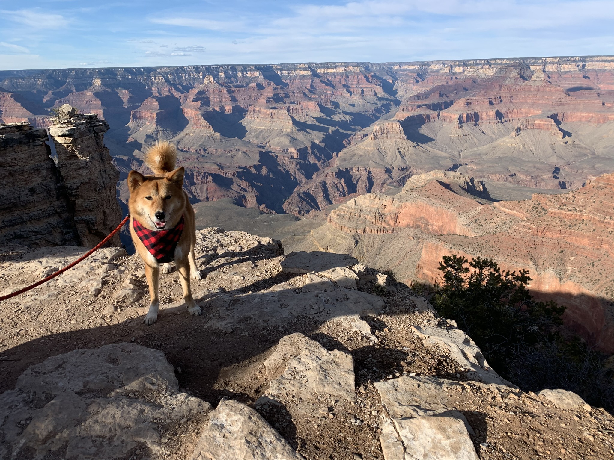 Markus posing by the visitor’s area of the Grand Canyon