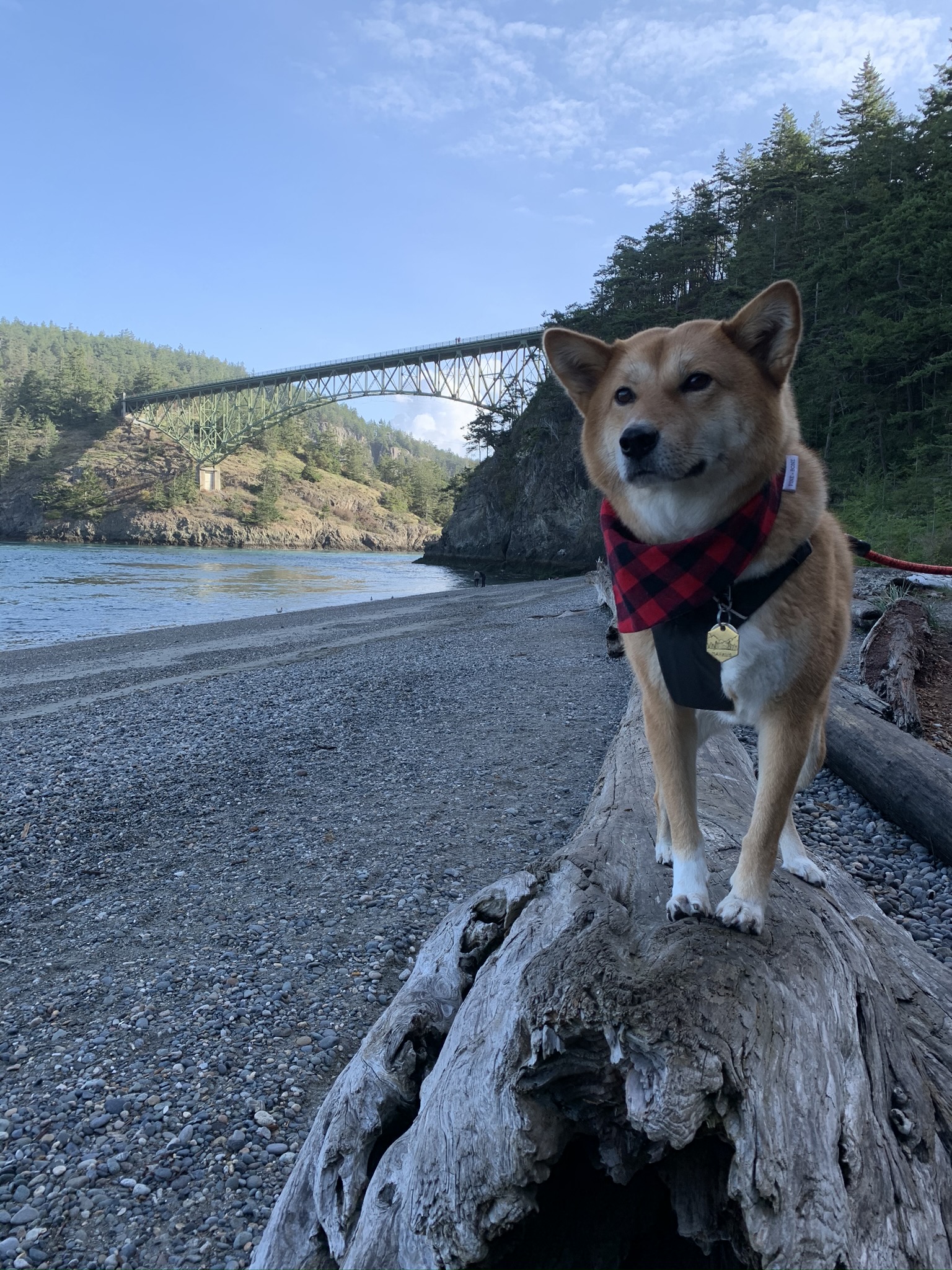 Markus stopping for a visit at the bottom of the Deception Pass Bridge