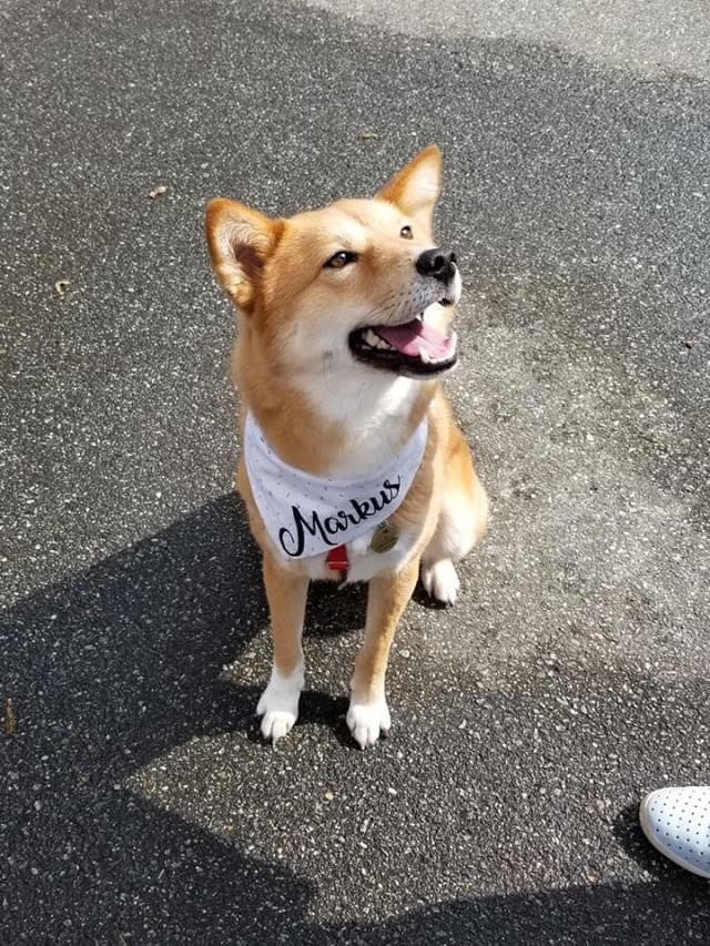 Markus sitting in the outdoor hockey rink at Queen Elizabeth Park