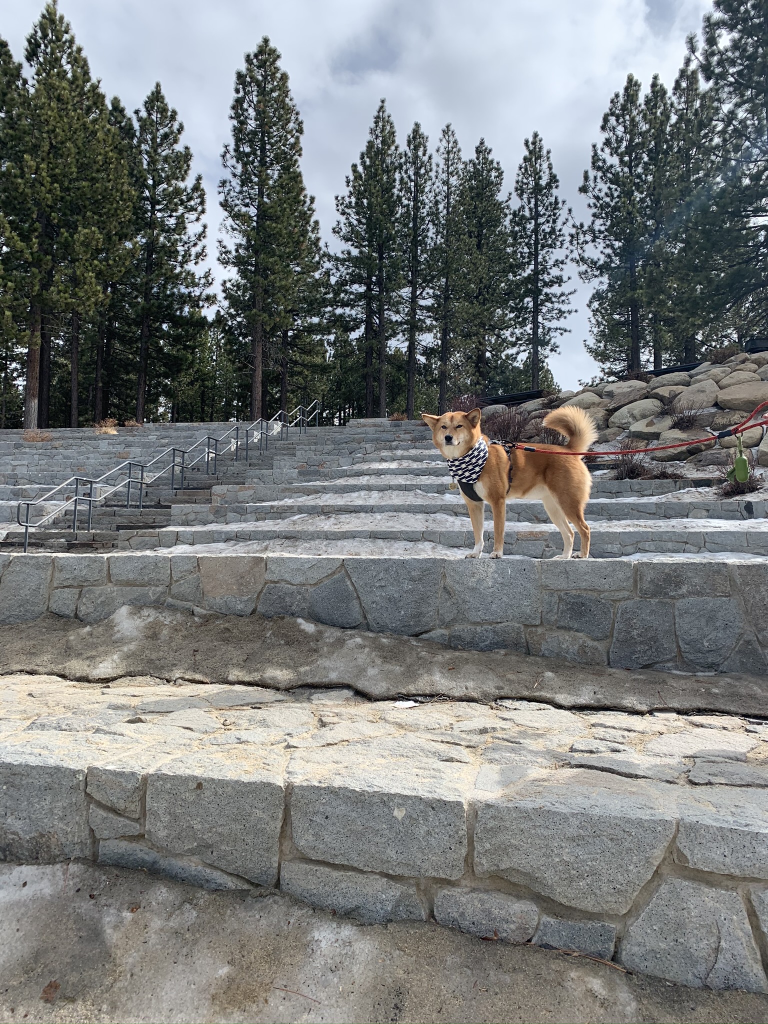 Markus looking out at Lake Tahoe from the stone steps at the Lakeview Commons