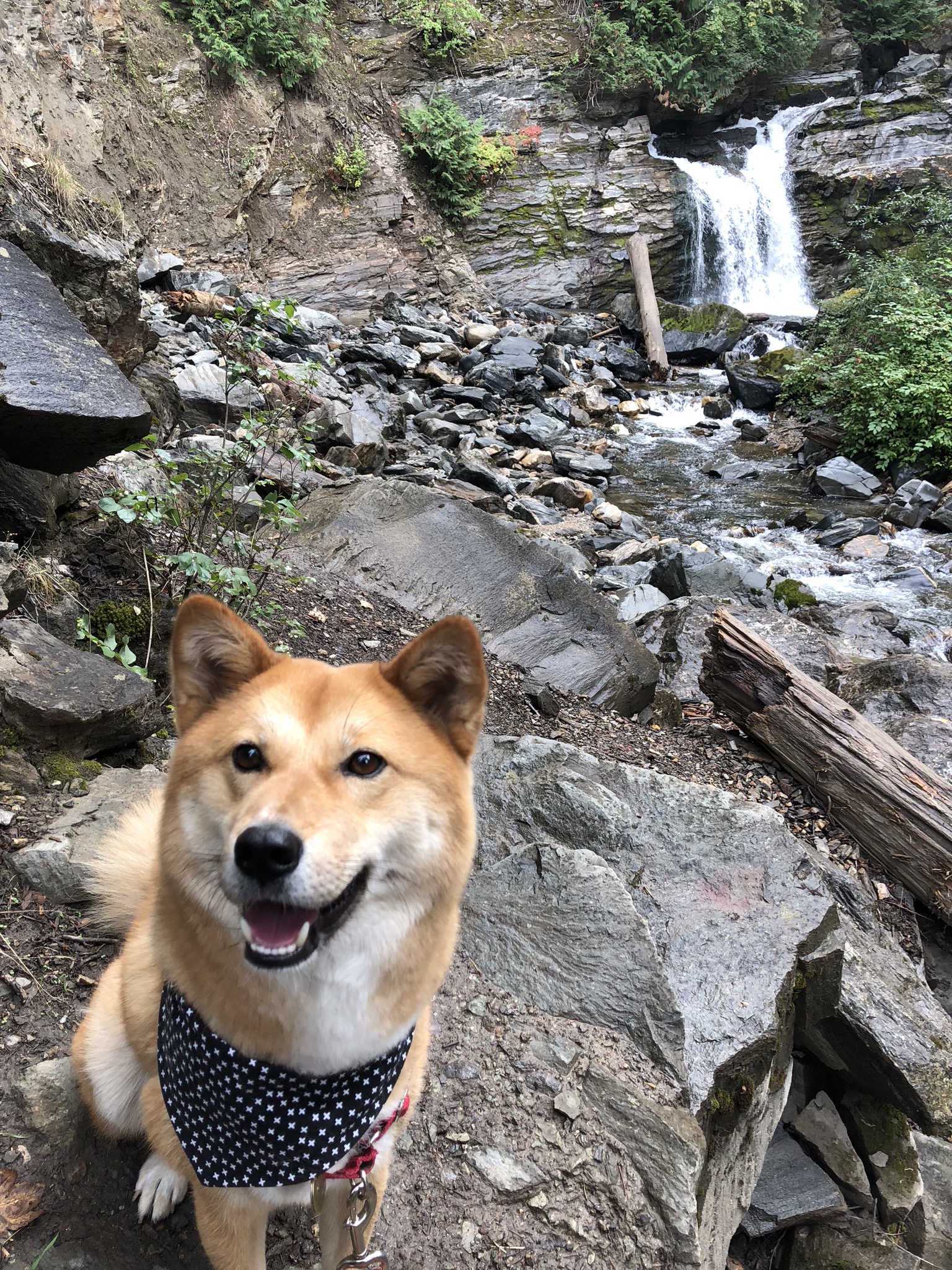 Markus smiling at the fact that the walk to Chase Creek Falls, British Columbia was less than 5 minutes