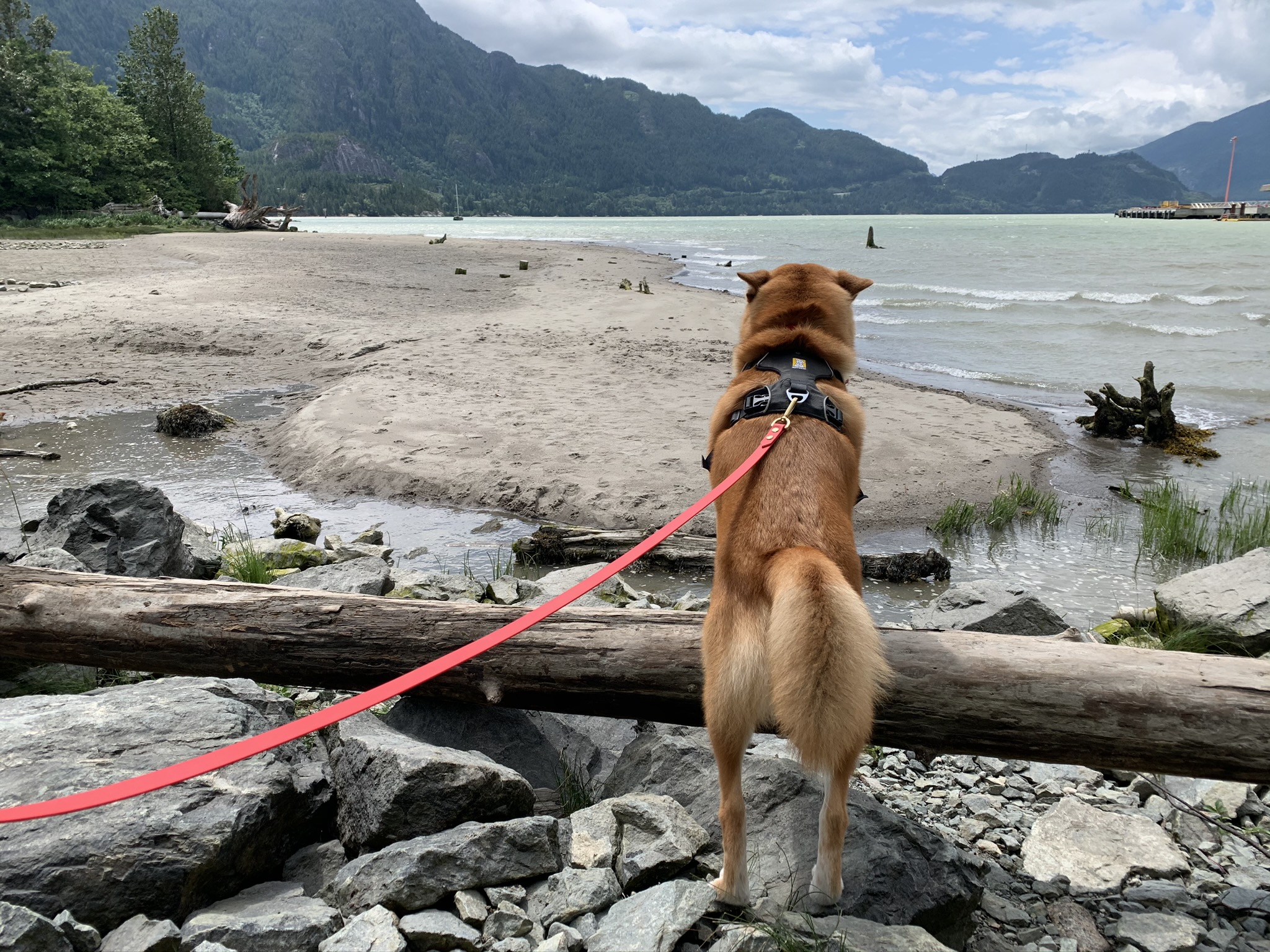 Markus looking at the view of the Stawamus Chief from a distance at Newport Beach