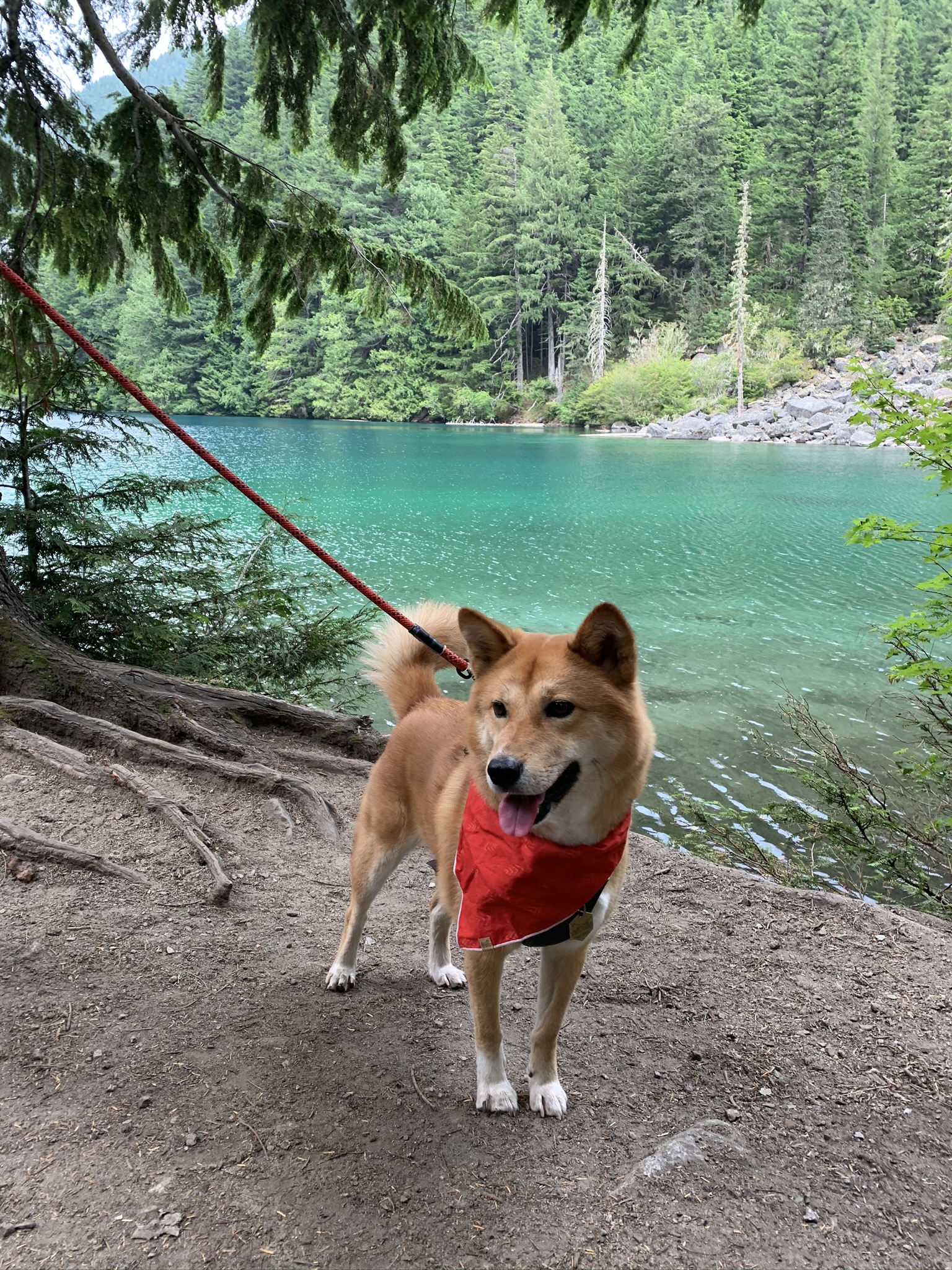 Markus standing in front of the beautiful colours of  Lindeman Lake  after a long hike