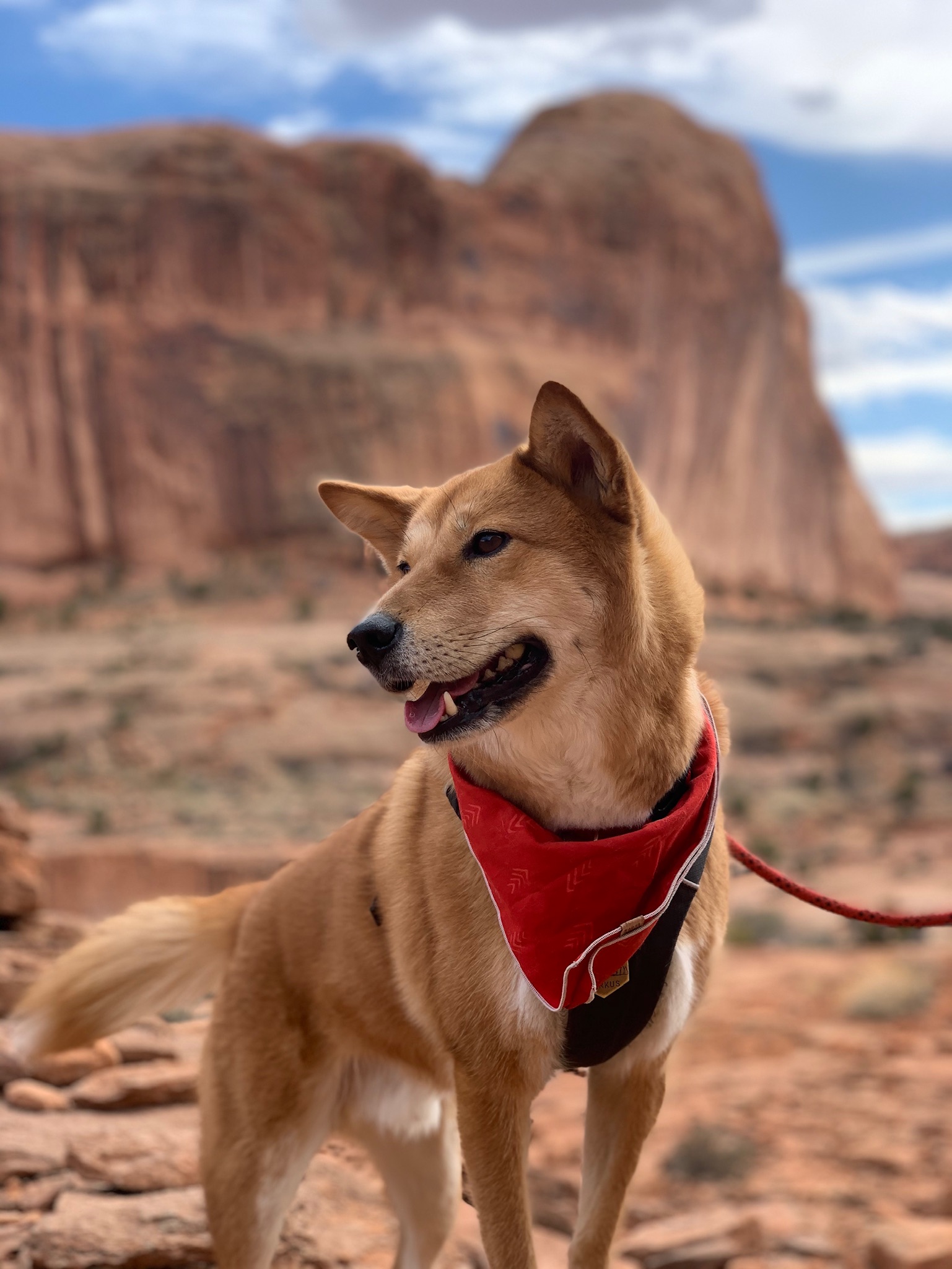 Markus stopping on a hike to pose by the red cliffs