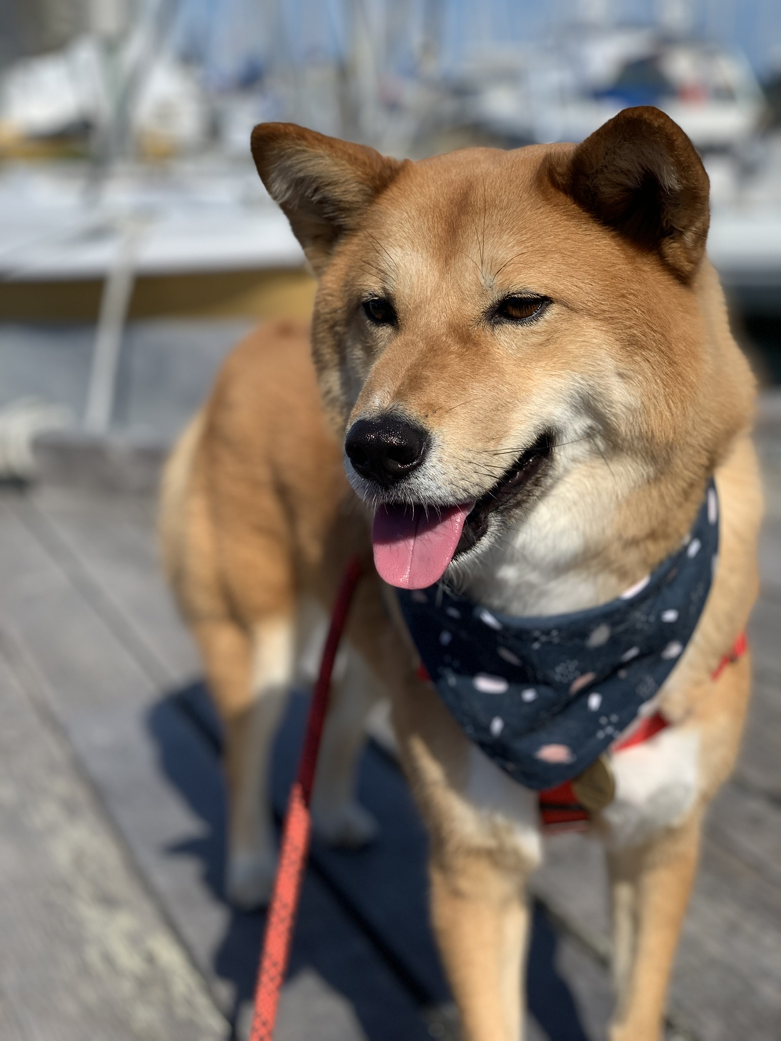 Markus on the docks in Victoria ready to go fishing