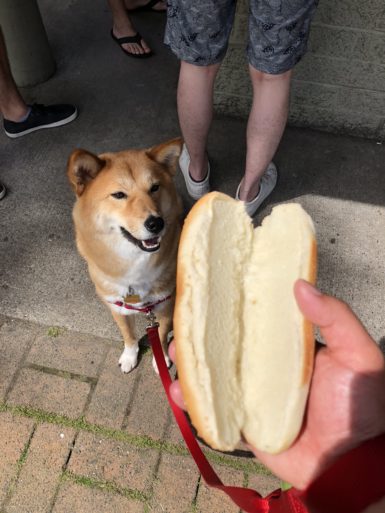 Our first hike with Markus, Developing new reactions and our new toy