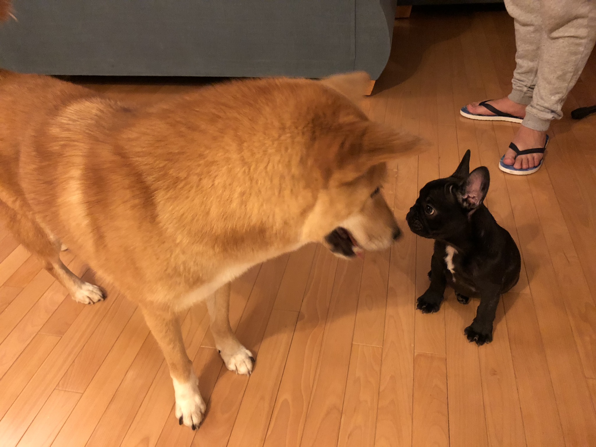 Markus looking over his new cousin Archie