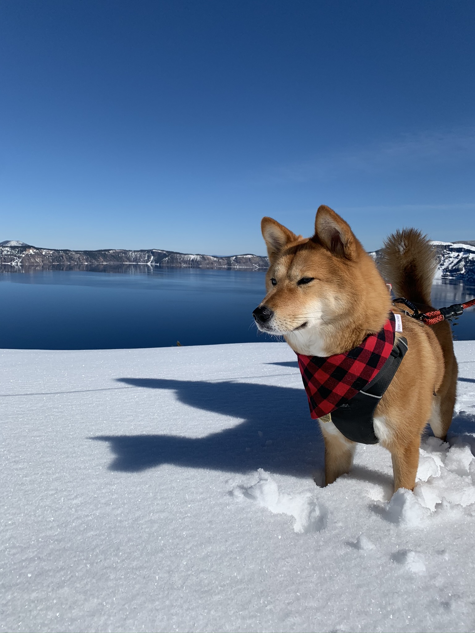 Markus looking unimpressed because he’s so deep into the snow at Crater Lake National Park, Oregon