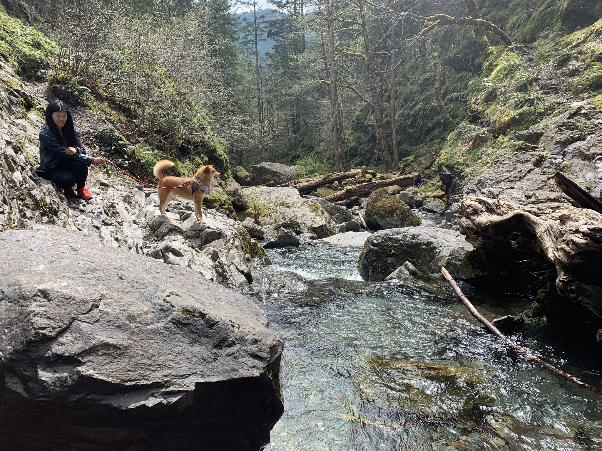 Markus soaking in the sights and sounds of the Henline Falls Trail in Oregon