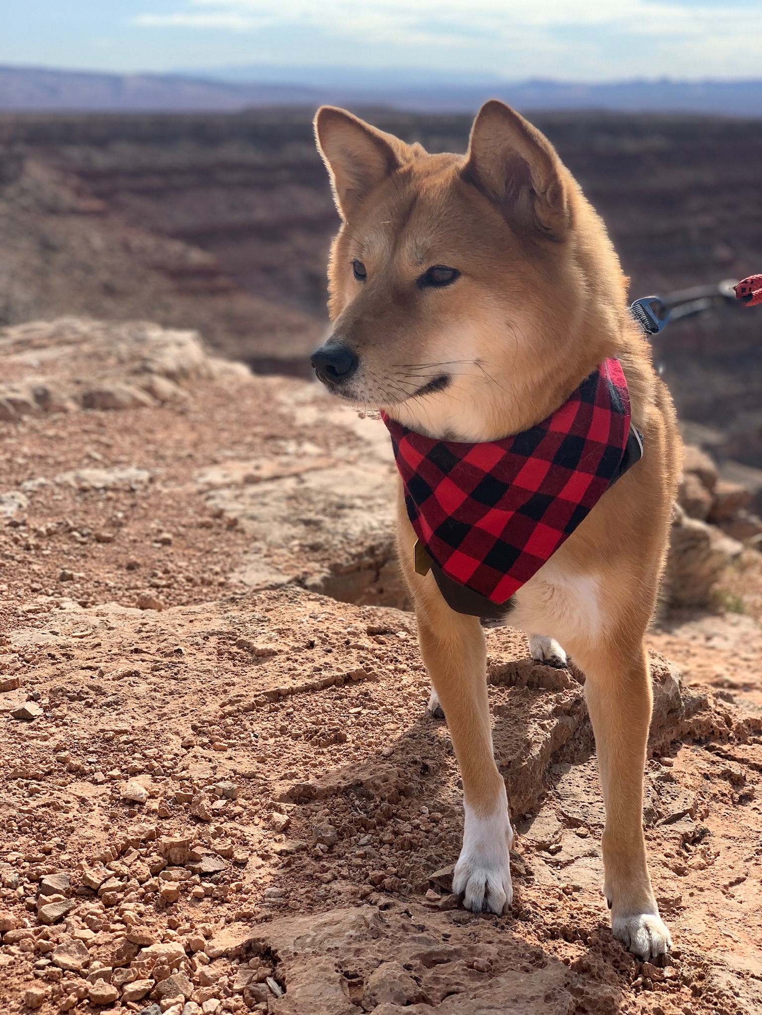 Markus posing for a photo at the edge of The Goosenecks at Goosenecks State Park