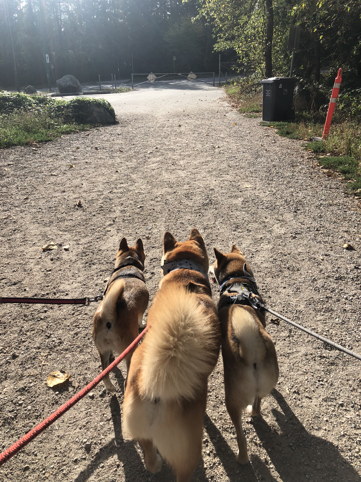 Everett Crowley Park