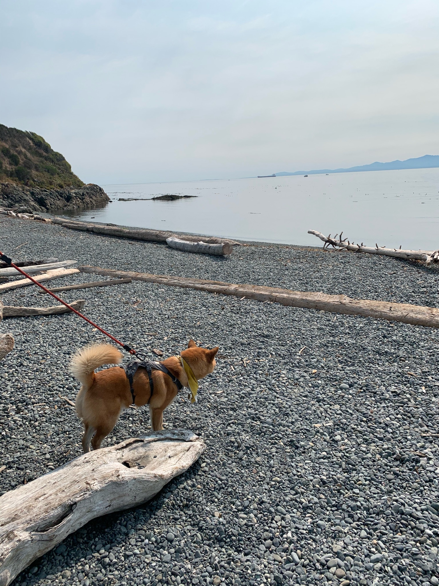 Markus enjoying the calmness of the beach at Holland Point Park