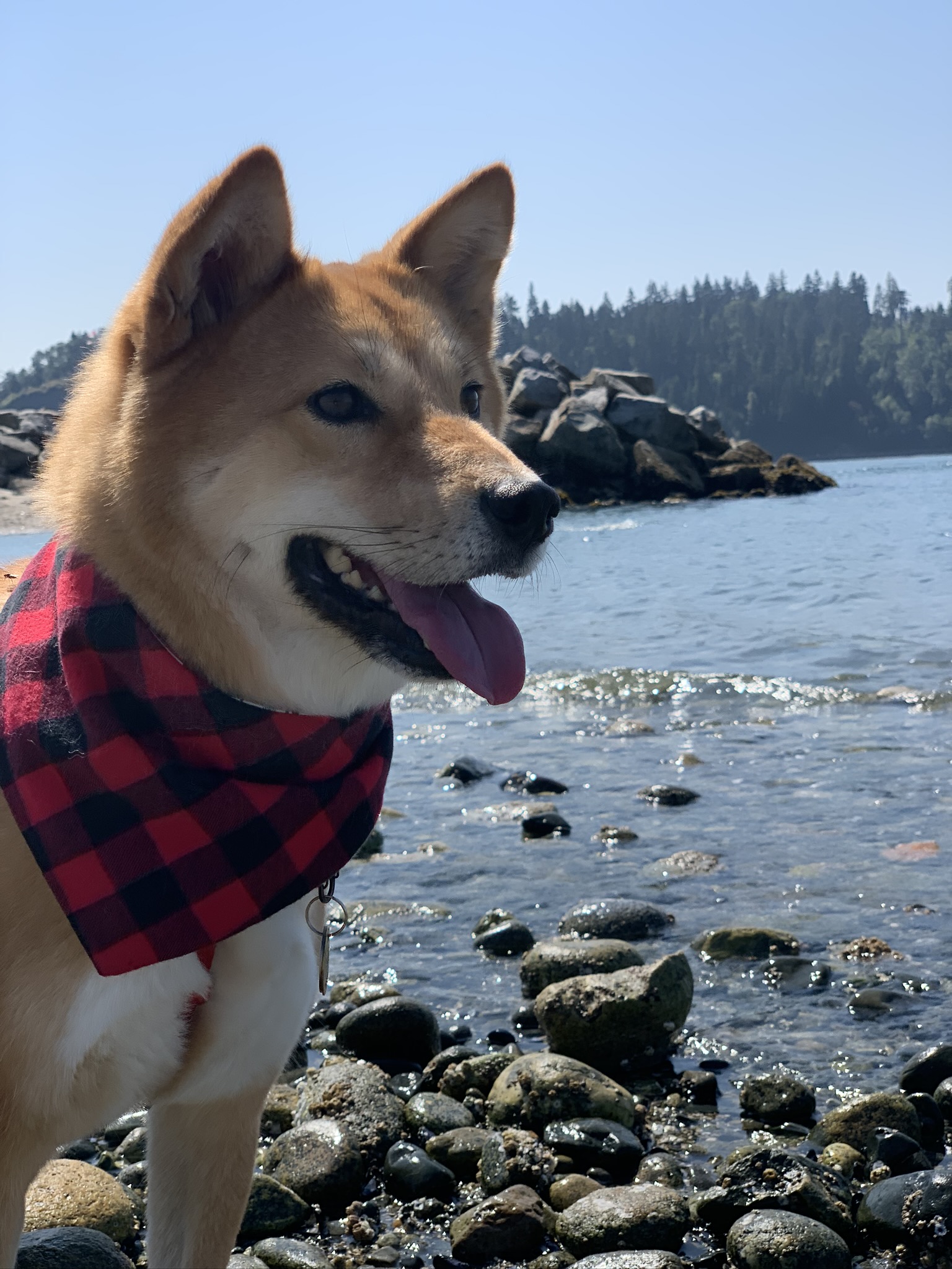Markus smiling by the water along Ambleside Beach