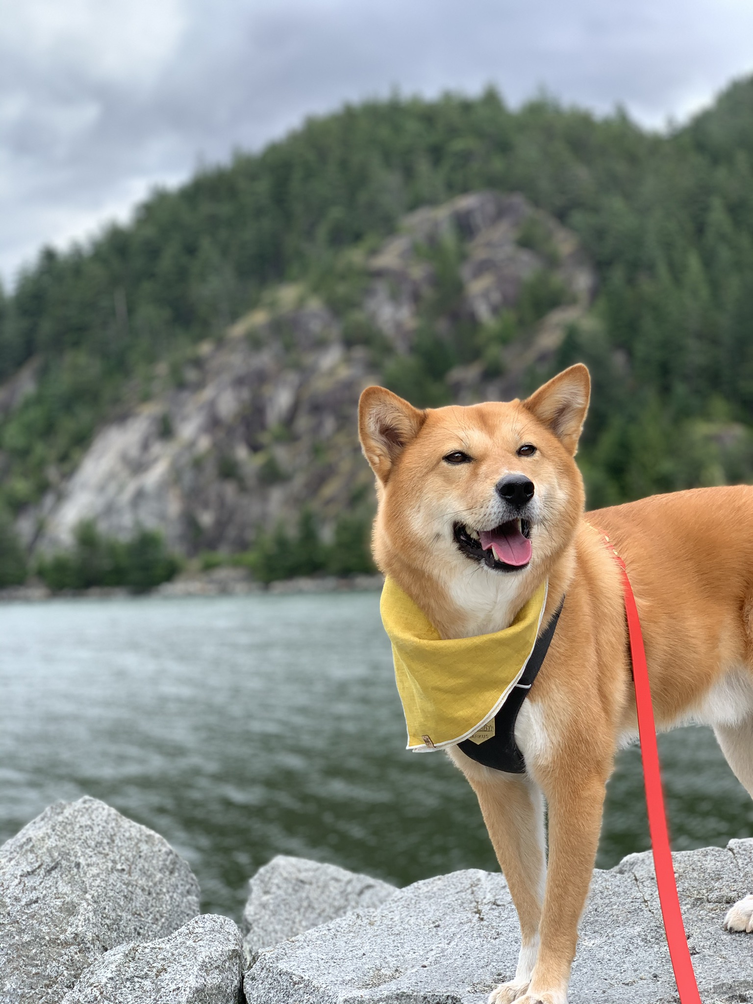 Markus standing by the area around the boat launch at Porteau Cove