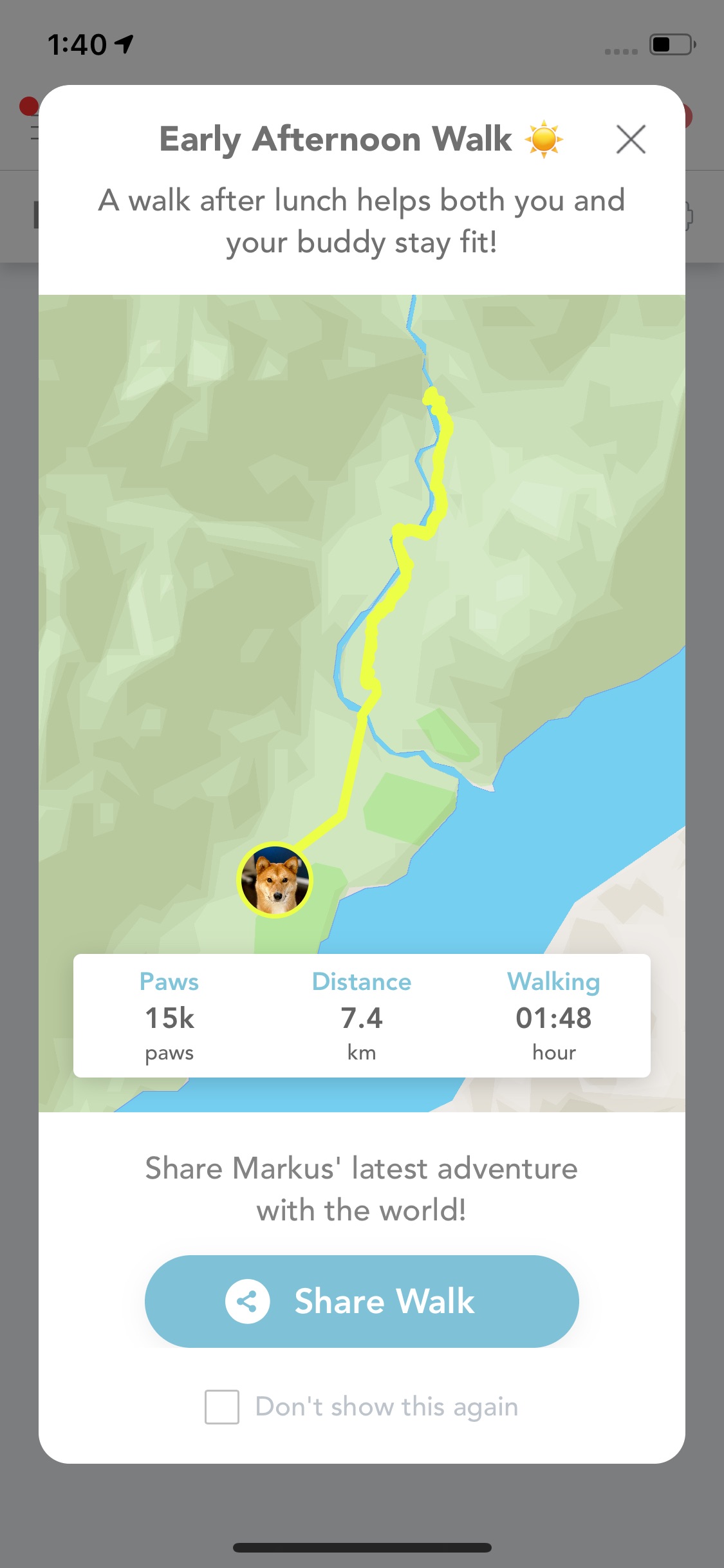 Screenshot of the Findster App after a walk