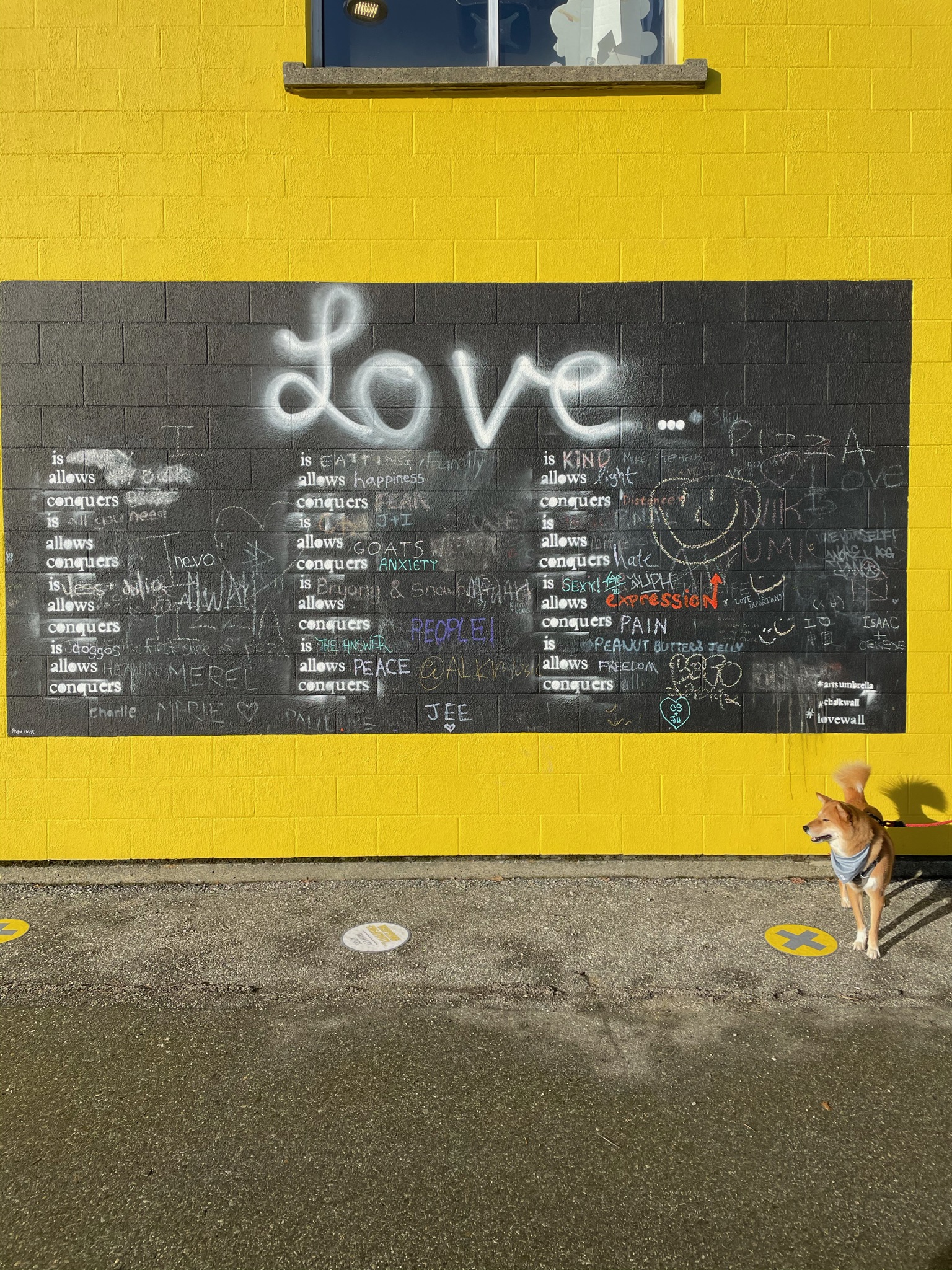 Markus trying to figure out what love is and how it’s not dog treats