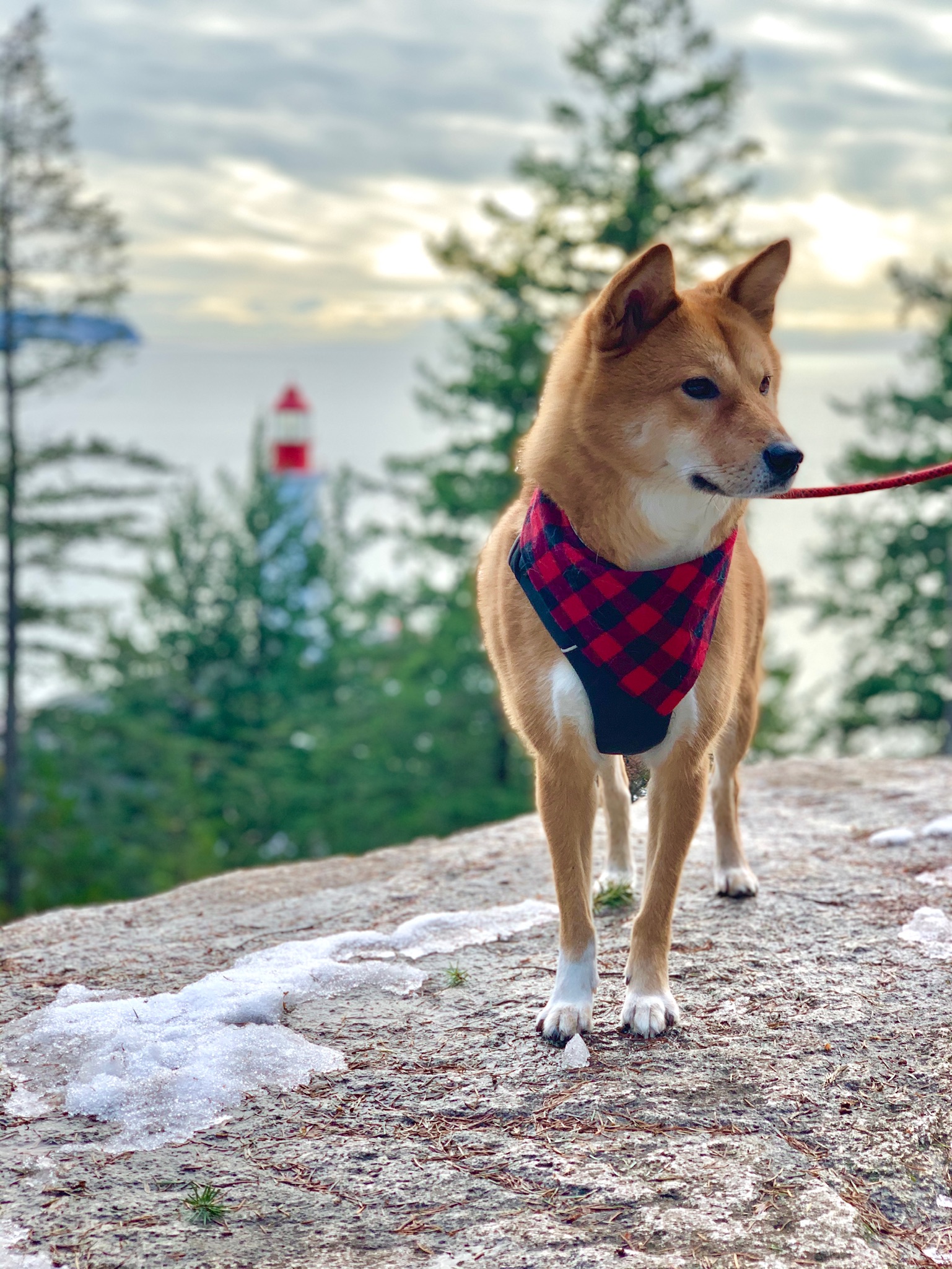 Markus standing at the top of the Lighthouse viewpoint at Lighthouse Park