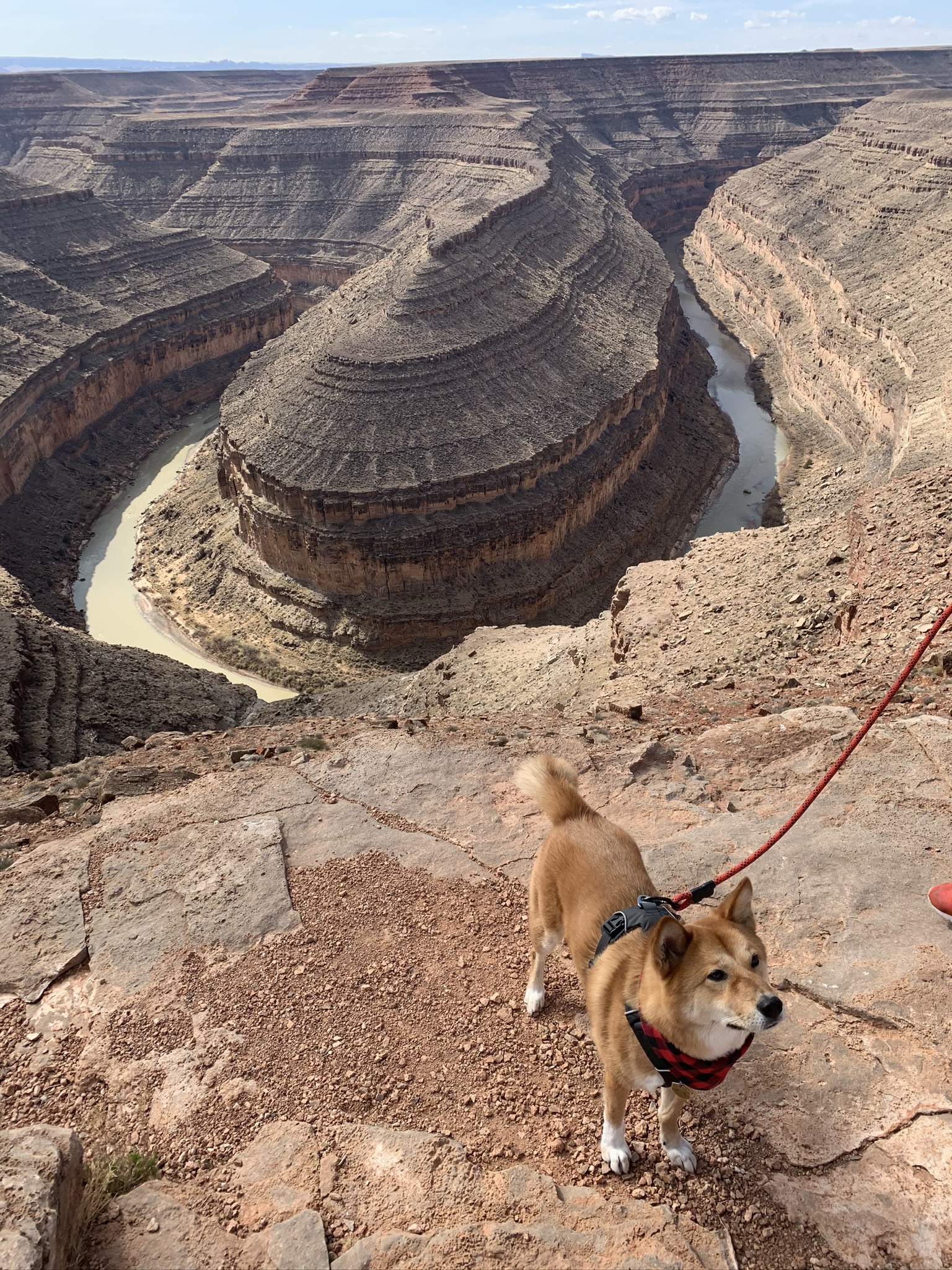 Markus posing with the Goosenecks State Park, Utah behind him