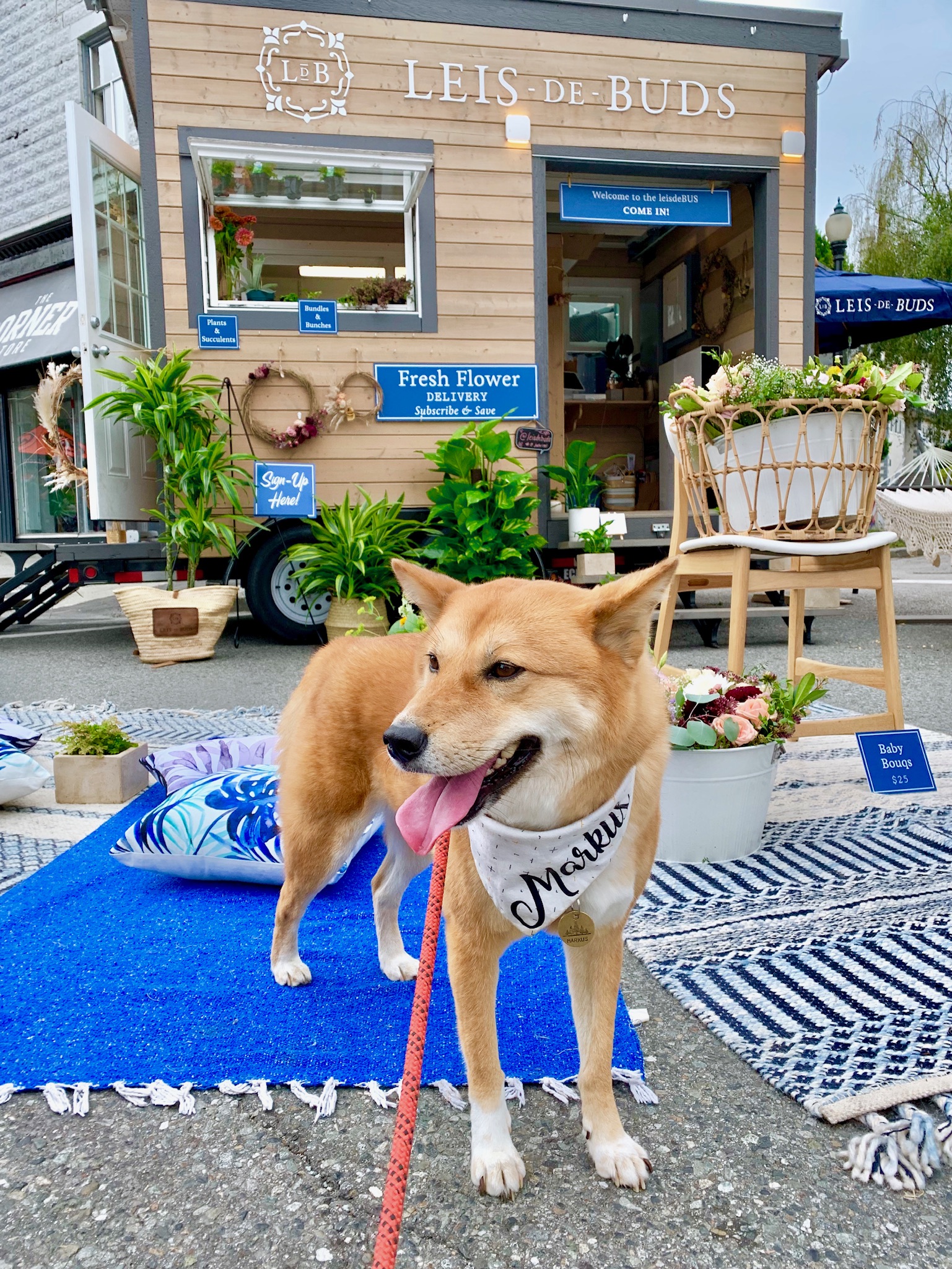 Markus posing in front one of the booths along Main Street at the Vancouver Mural Festival
