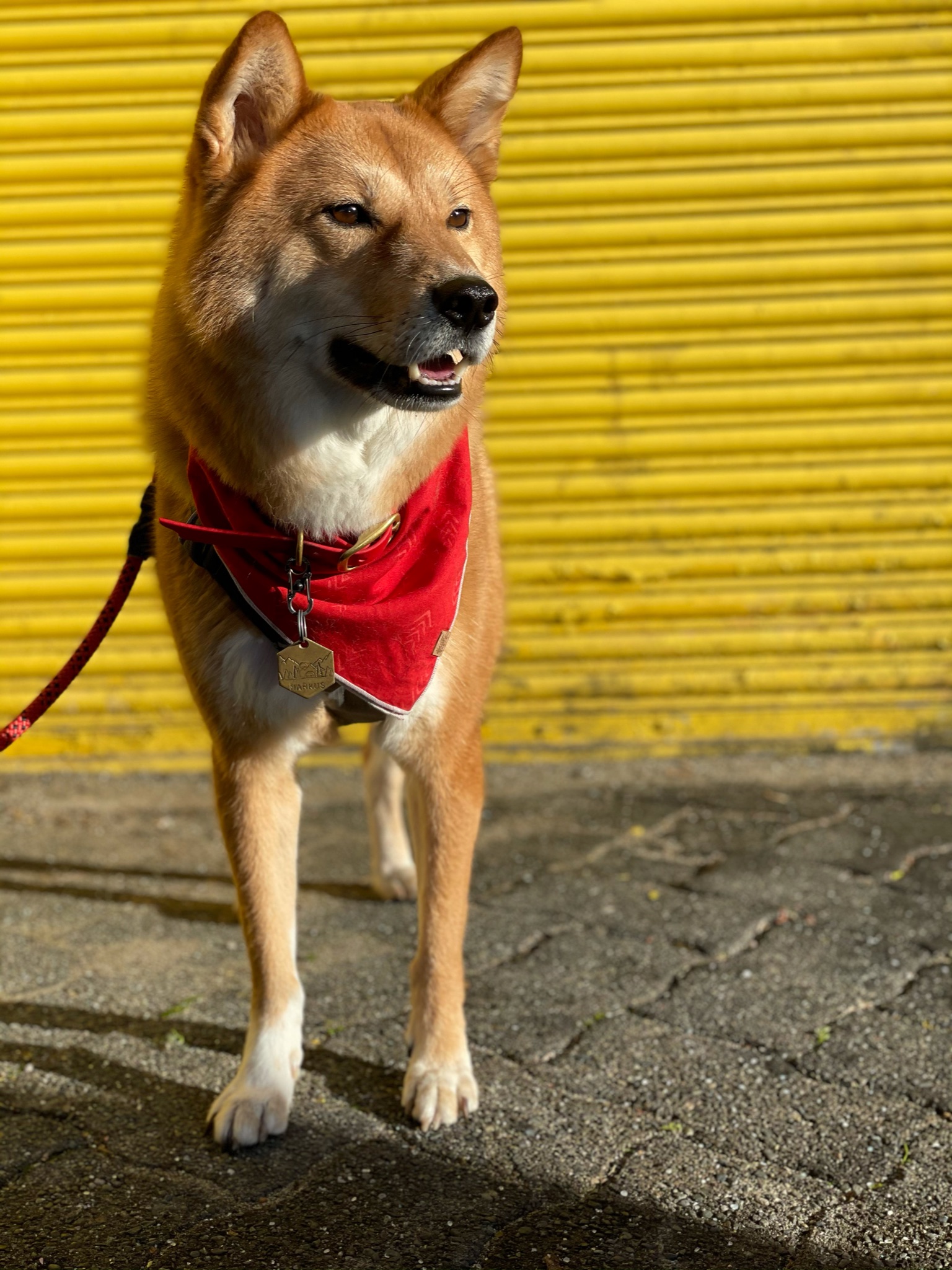 Granville Island Rustic Photos