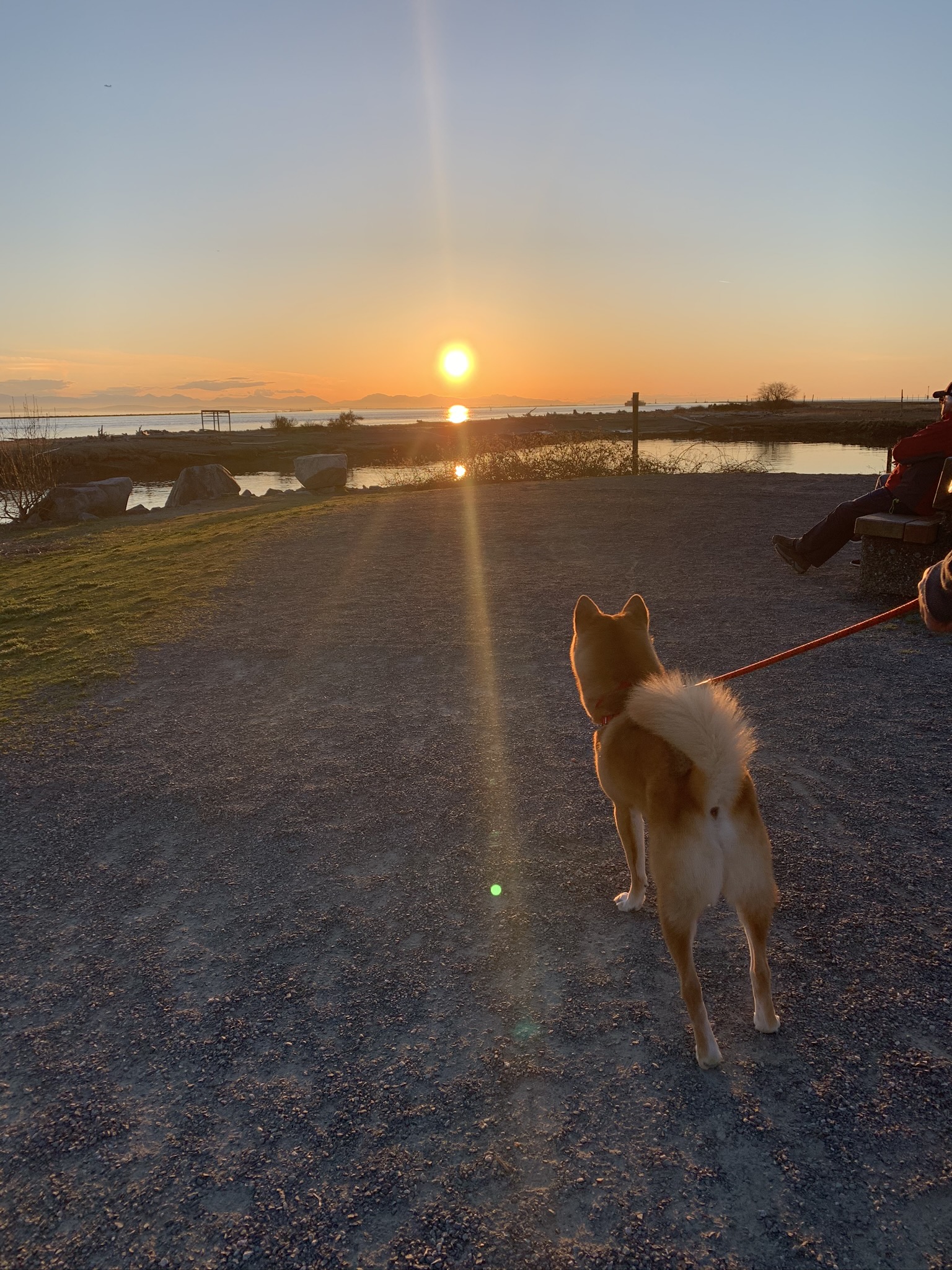 Markus enjoying the sunset at Garry Point Park