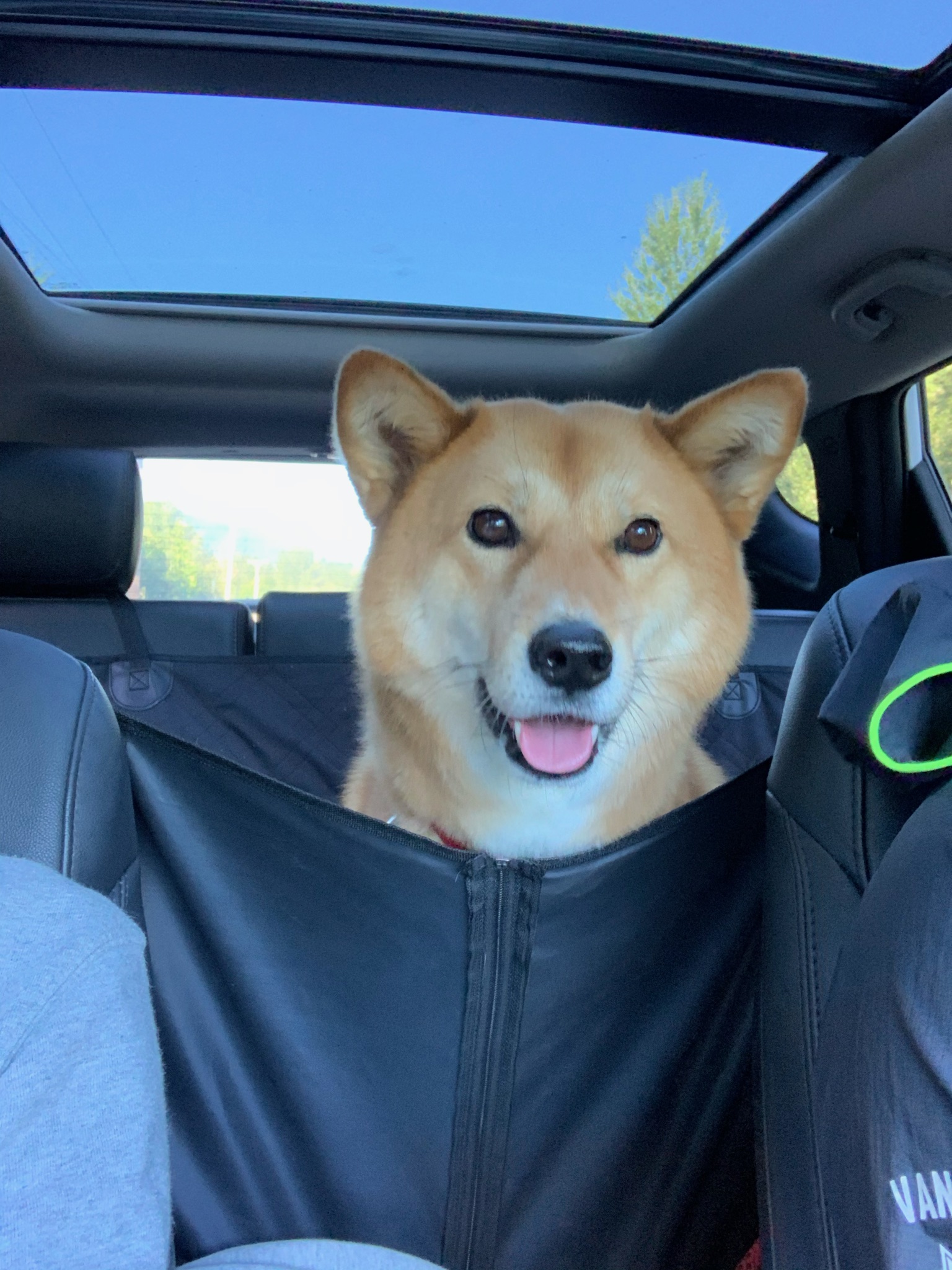 Markus is just excited to be on a road trip again