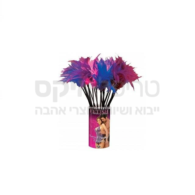 נוצה פינוק ועינוג זוגית, מיועדת גם למשחק מקדים. גורמת לגירוי בכל הגוף, במיוחד באיזורים אינטימיים. מומלצת לשימוש בשילוב של כיסוי עיניים פשוט להעביר בעדינות על איזור הפטמות או איברי המין. אפשר גם לרפרף בחושניות לאורך הגוף והתוצאה מובטחת. קיימת במבחר צבעים וגוונים.