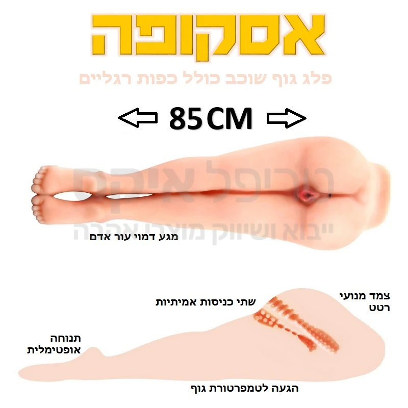 אַסְקֻופָּה - פלג גוף טורסו עשוי סיליקון סייבר סקין דמוי עור אדם ומגיע בשניות אל חום הגוף, המדמה חלק מגוף אישה חטובה, כולל ישבן בעל 2 כניסות וגינה כולל פות שעיר ופי טבעת רקטום ריאליסטי וכן ירכיים שוקיים כפות רגליים מעוצבות בגודל טבעי. שלט בעל מספר מנועי רטט במבחר עוצמות ואפשרות הדלקת רמקול הכולל סאונד גניחות להשלמת האפקט. לתחושה טבעית רטובה ולמניעת שחיקה מומלץ להשתמש בג'ל החדרה על בסיס מים. 