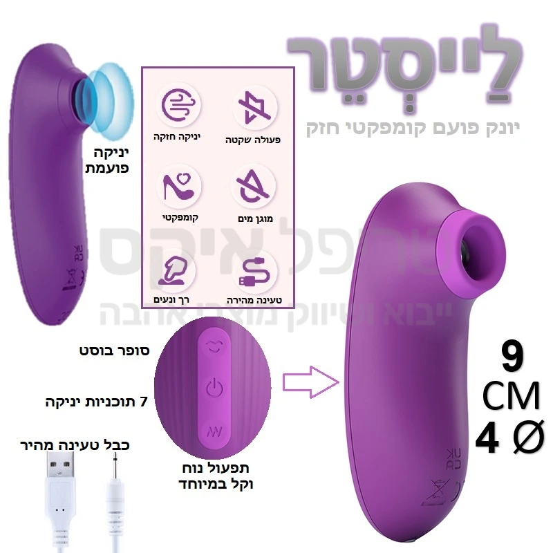 לייסטר