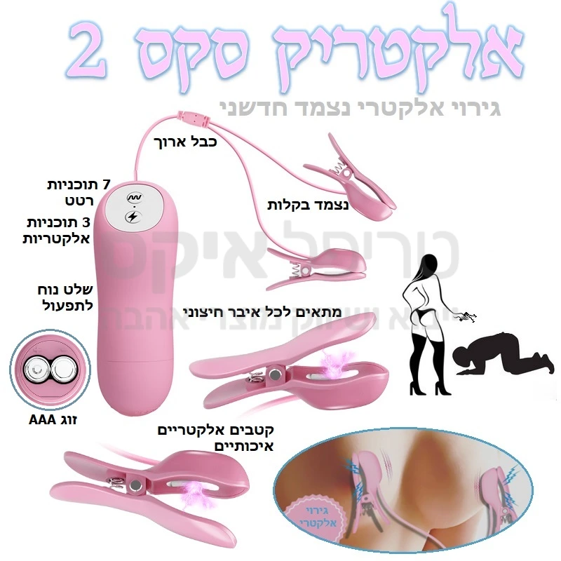 אלקטריק סקס 2