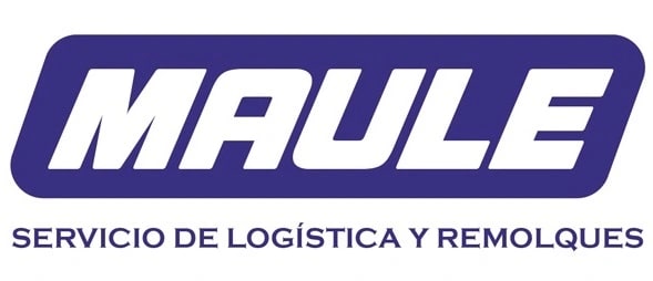Logo Servicios Maule