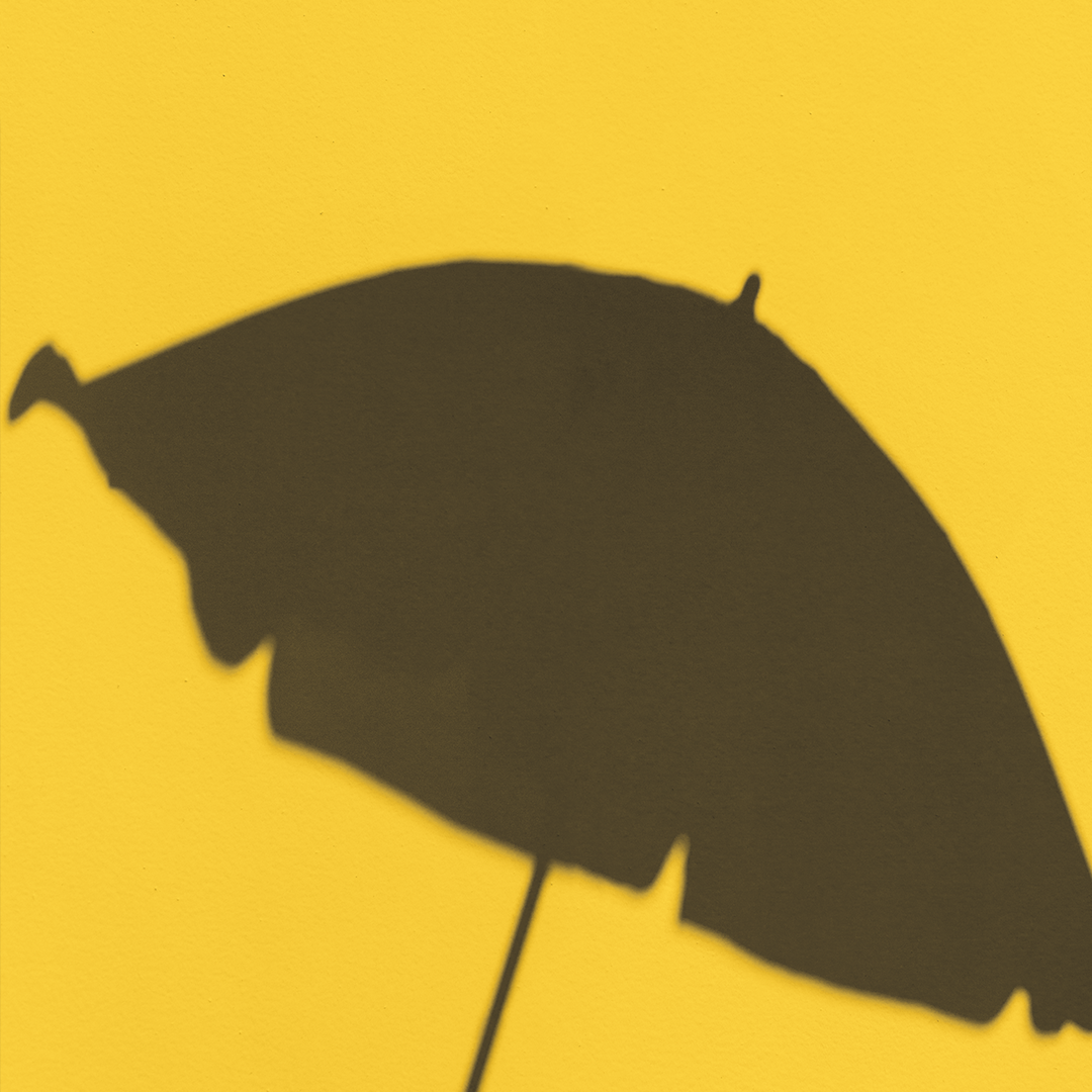 Canopy, Umbrella, Leaf, Plant, Silhouette