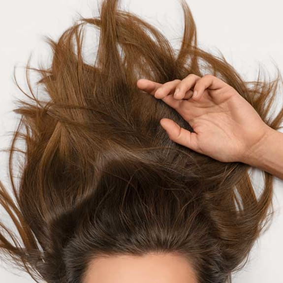 Adult, Female, Person, Woman, Hair