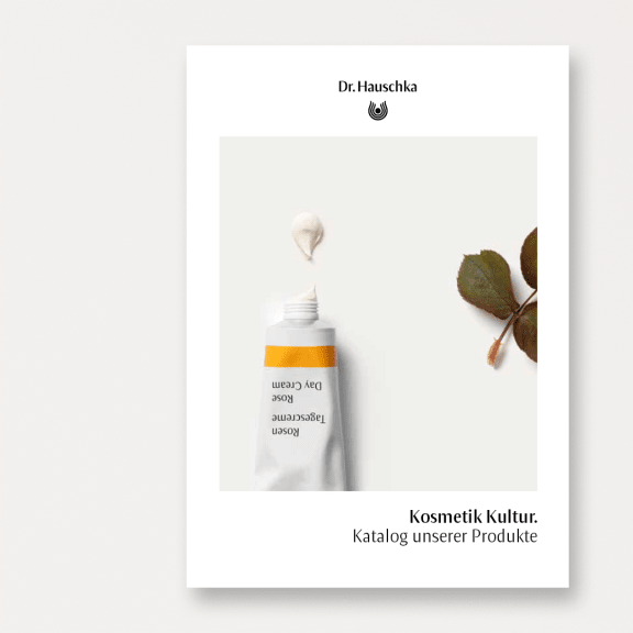 Leaf, Plant, Bottle, Herbal, Herbs
