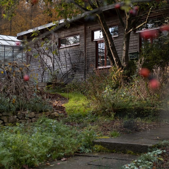 Hut, Nature, Outdoors, Garden, Shelter