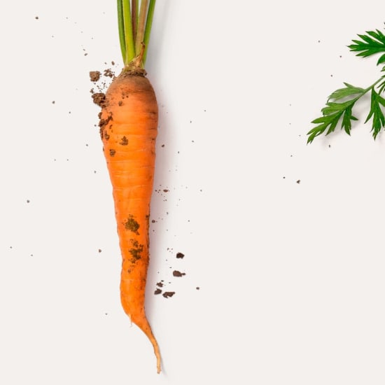 Porkkana (Daucus carota) maaperän ja vihreiden lehtien kera